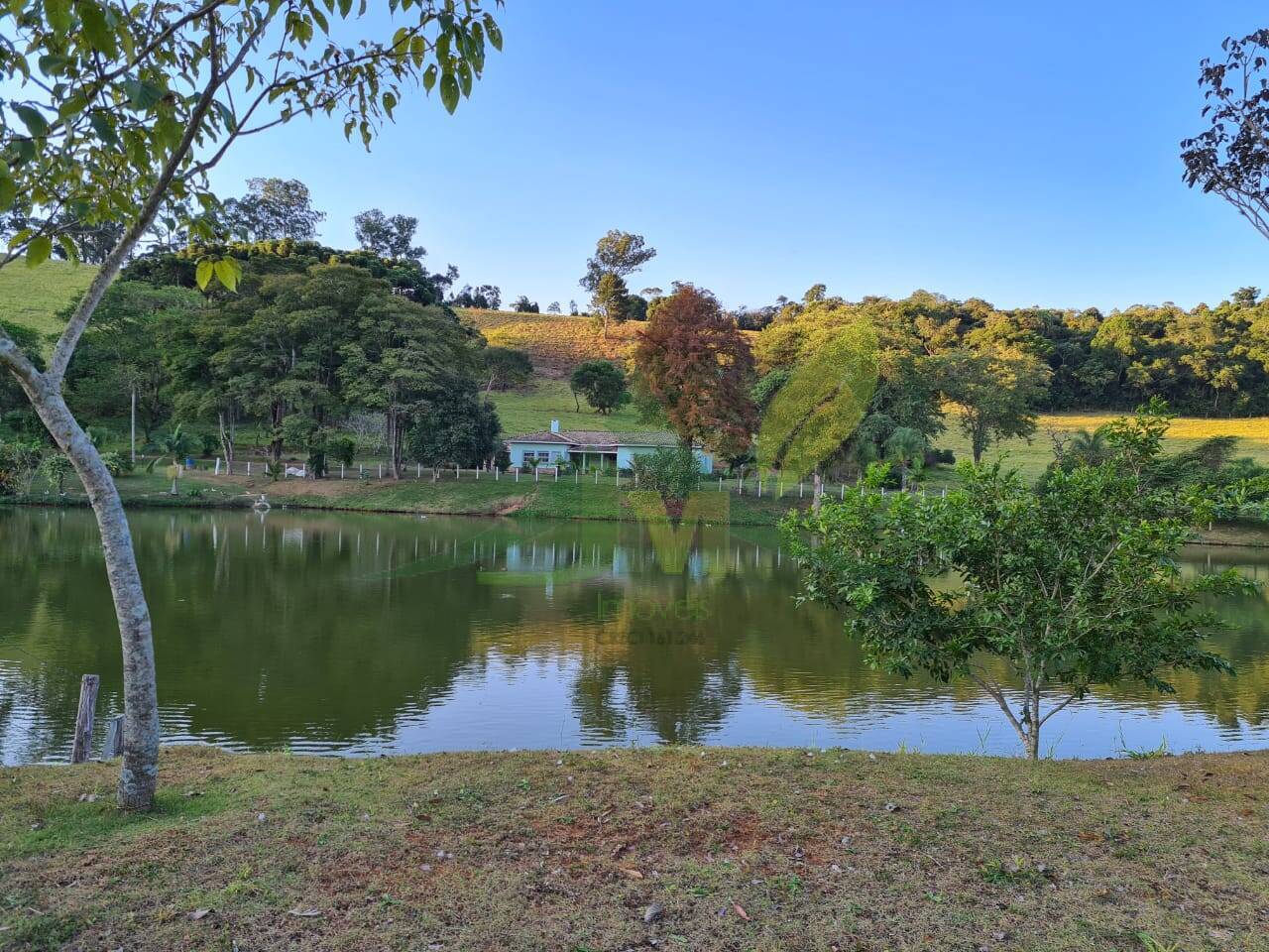 Sítio, 4 quartos, 75 hectares - Foto 2