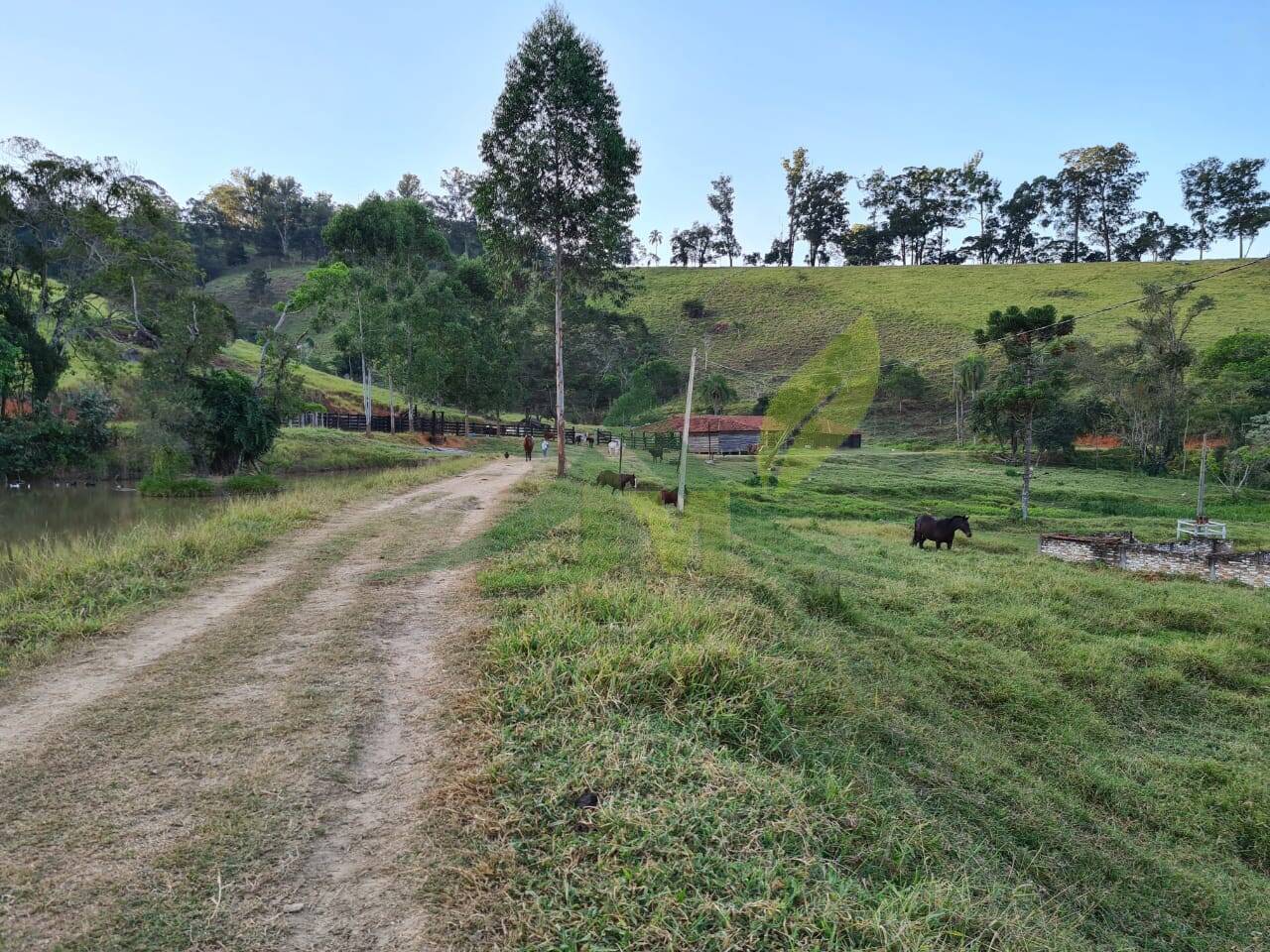 Sítio, 4 quartos, 75 hectares - Foto 37