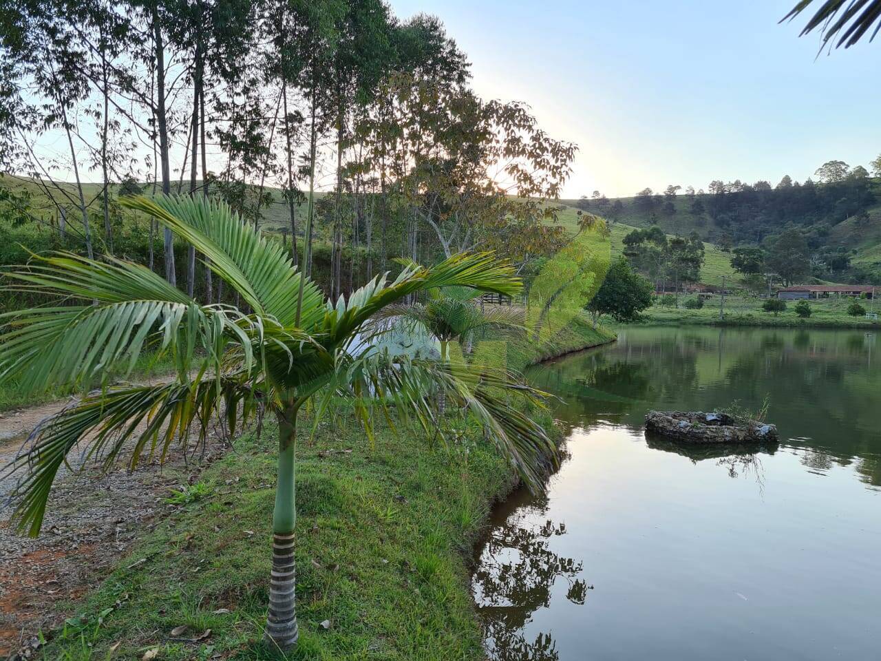 Sítio, 4 quartos, 75 hectares - Foto 38