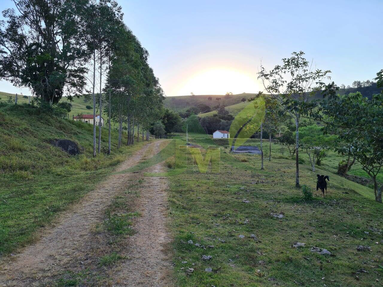 Sítio, 4 quartos, 75 hectares - Foto 41