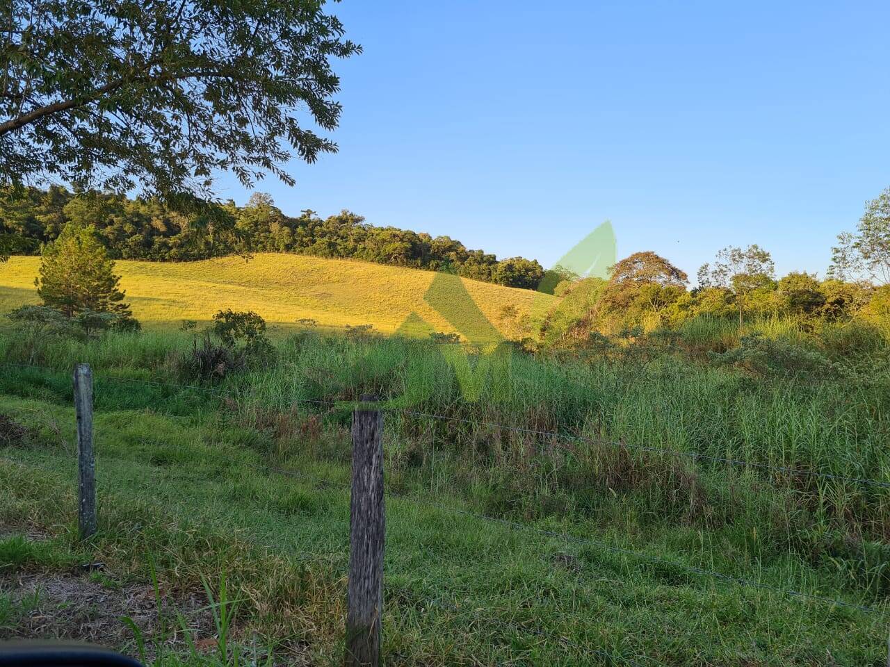 Sítio, 4 quartos, 75 hectares - Foto 42
