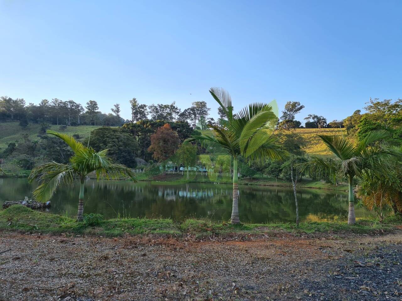 Sítio, 4 quartos, 75 hectares - Foto 44