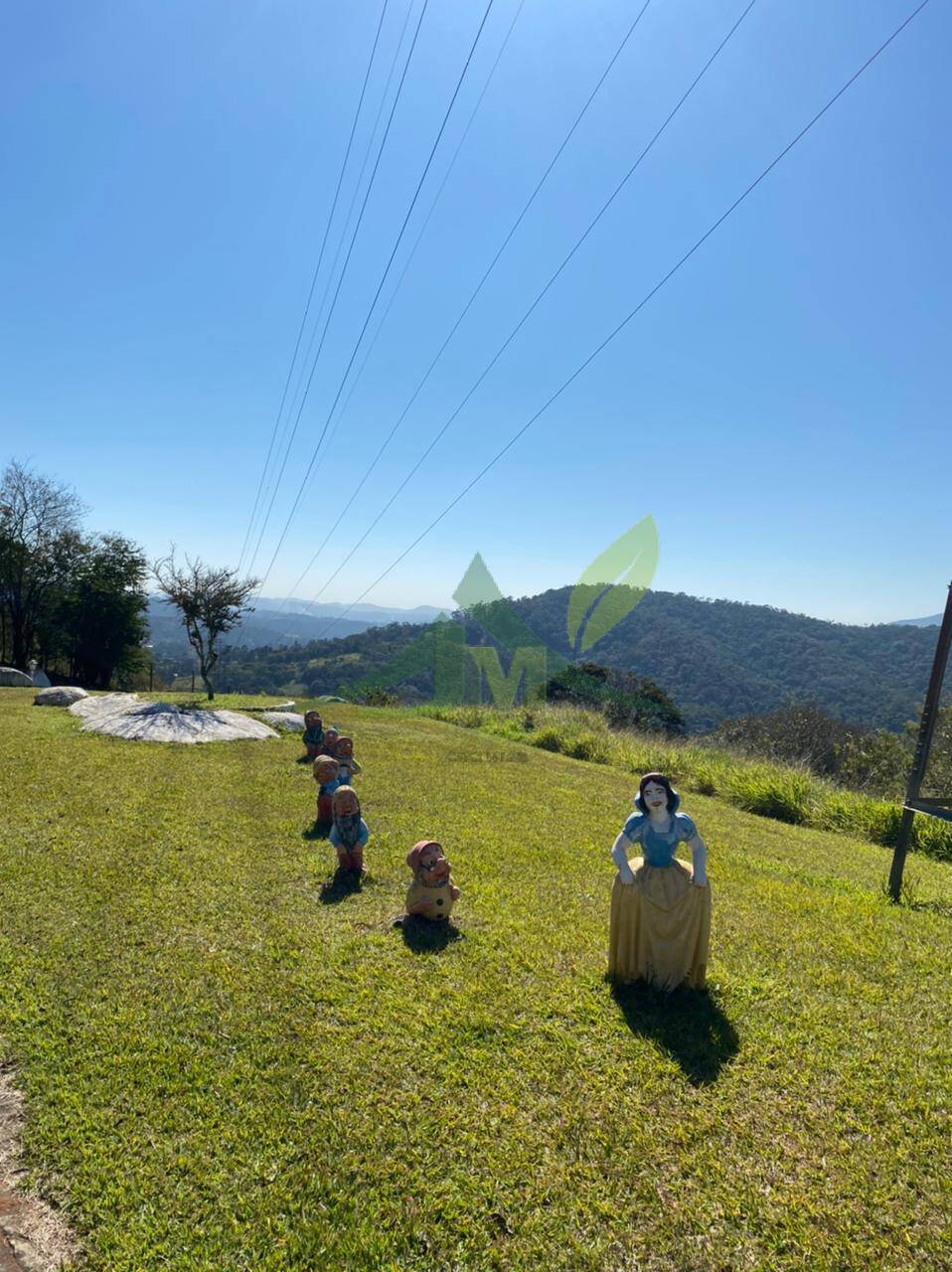 Sítio, 8 quartos, 2 hectares - Foto 43