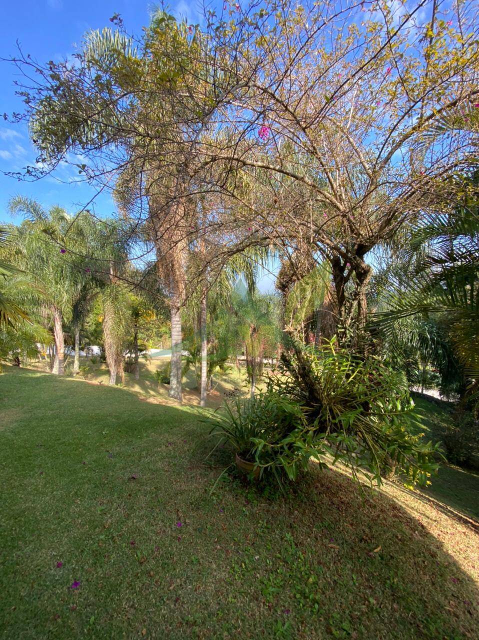 Sítio, 6 quartos, 5000 m² - Foto 37