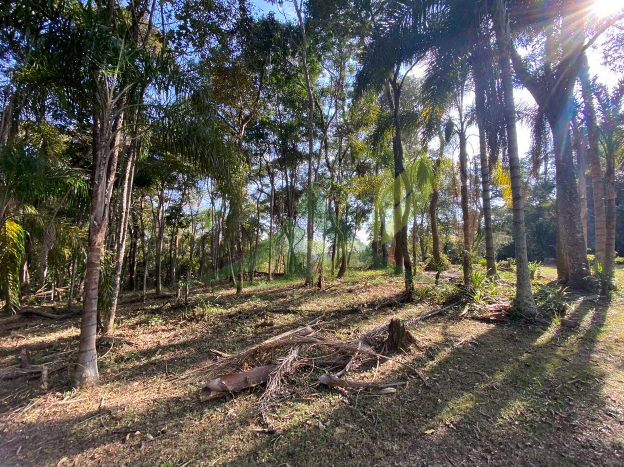 Terreno, 3000 m² - Foto 1