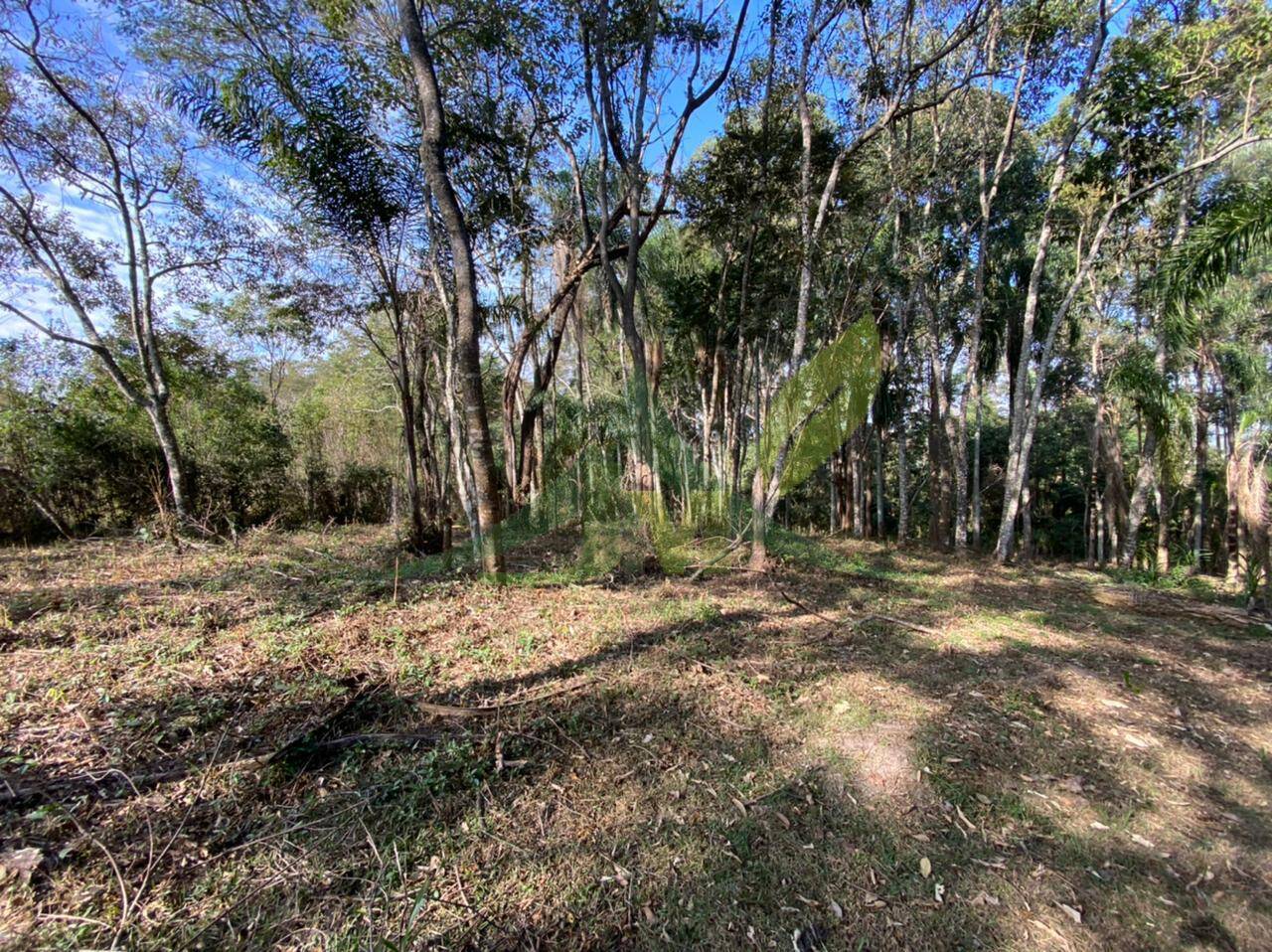 Terreno, 3000 m² - Foto 3