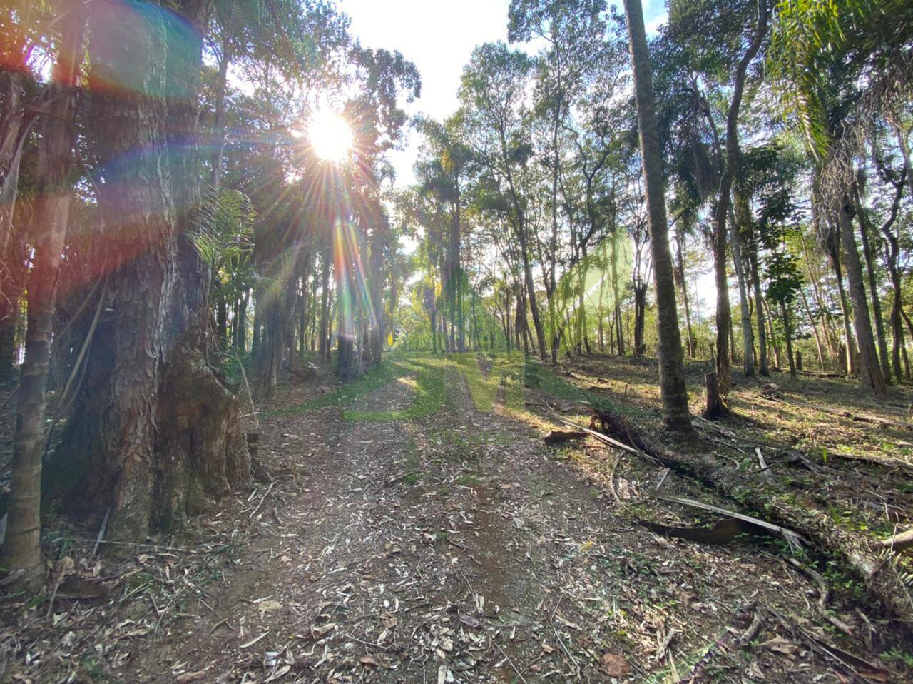 Terreno, 3000 m² - Foto 5