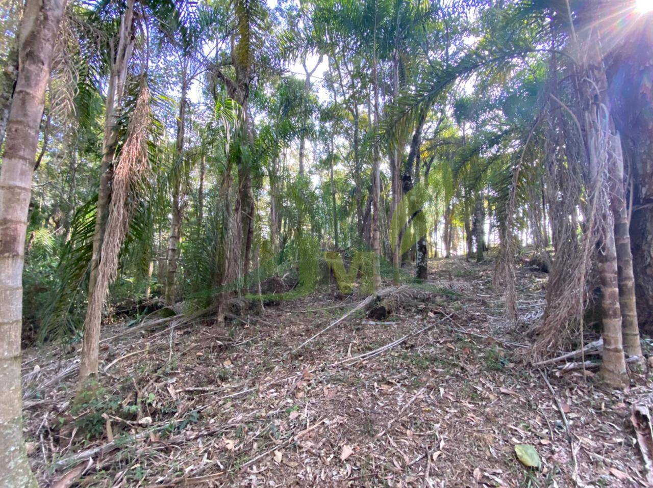 Terreno, 3000 m² - Foto 6