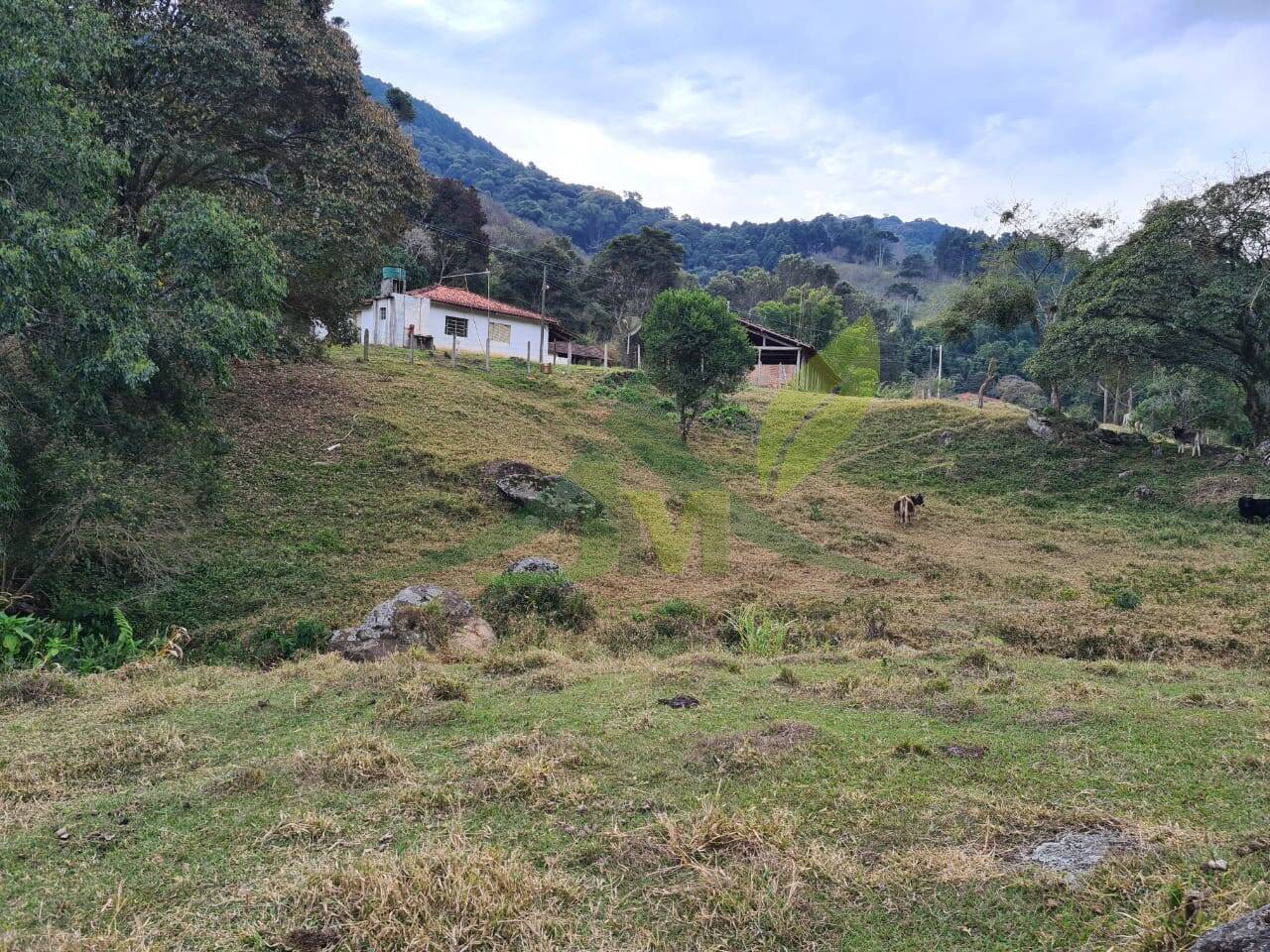 Sítio, 2 quartos, 75 hectares - Foto 5