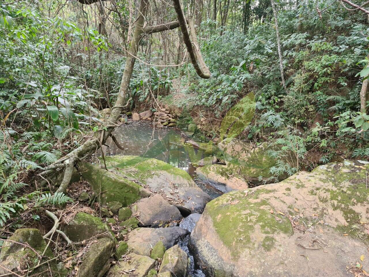 Sítio, 2 quartos, 75 hectares - Foto 11