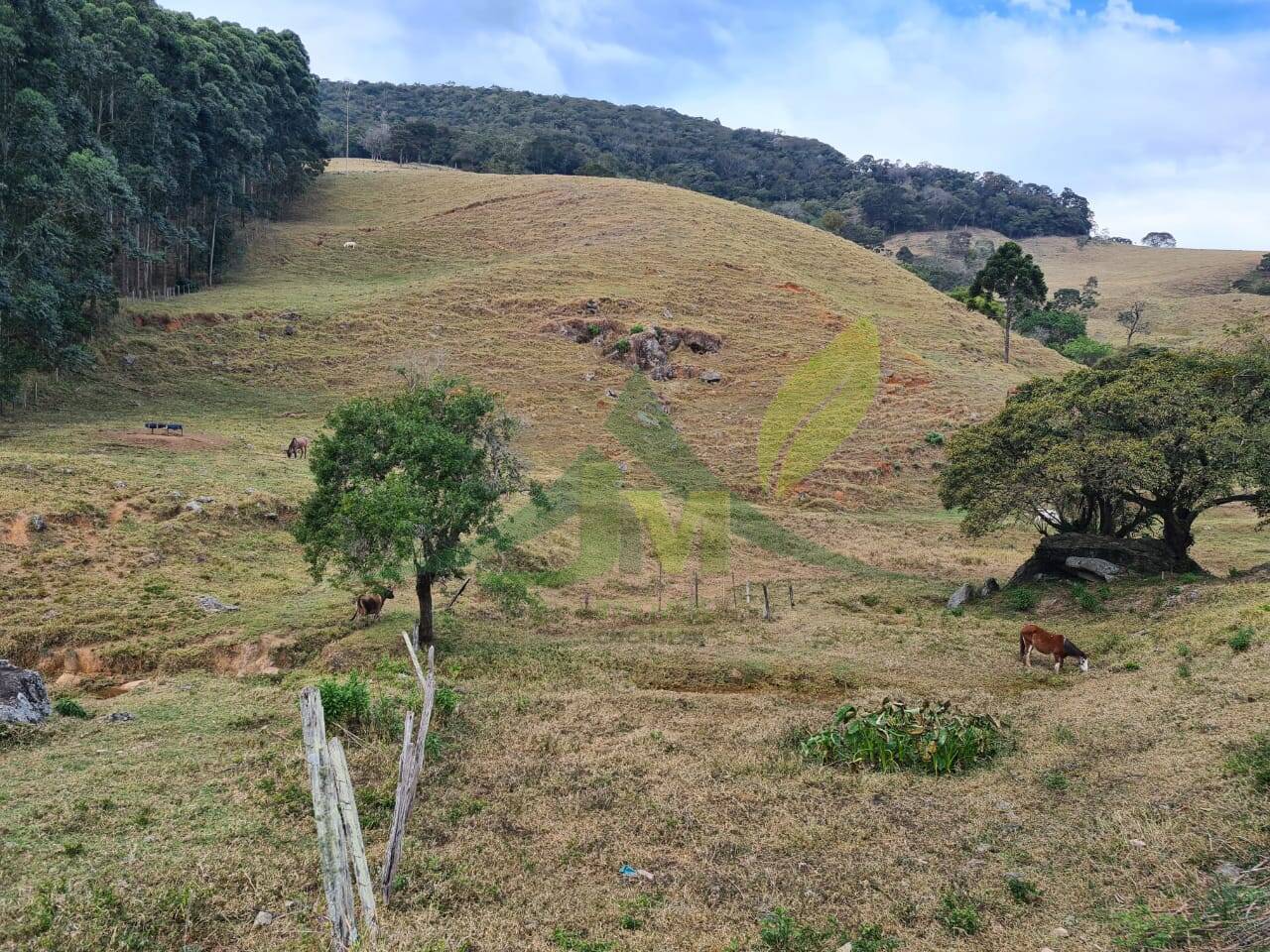 Sítio, 2 quartos, 75 hectares - Foto 18