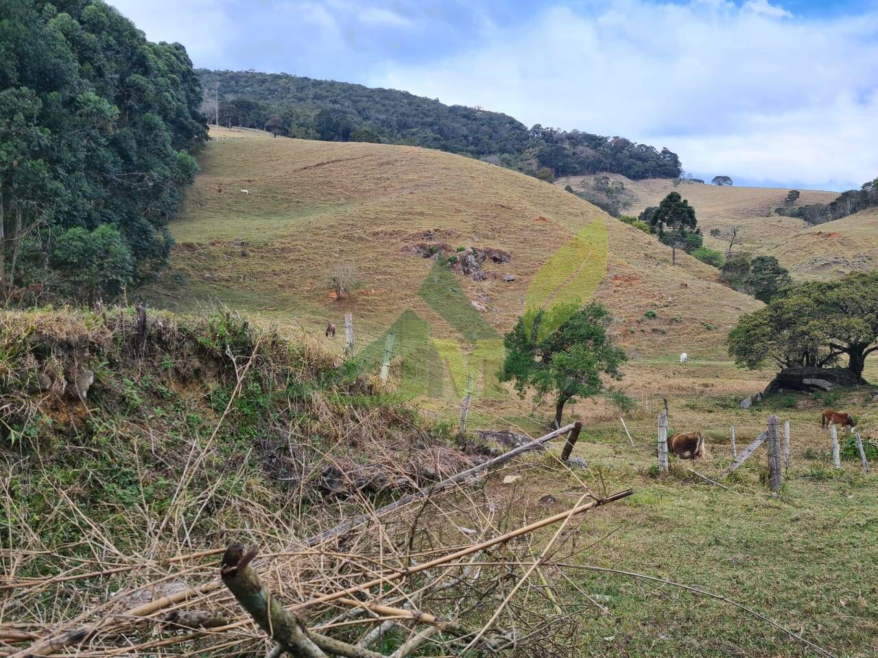 Sítio, 2 quartos, 75 hectares - Foto 2