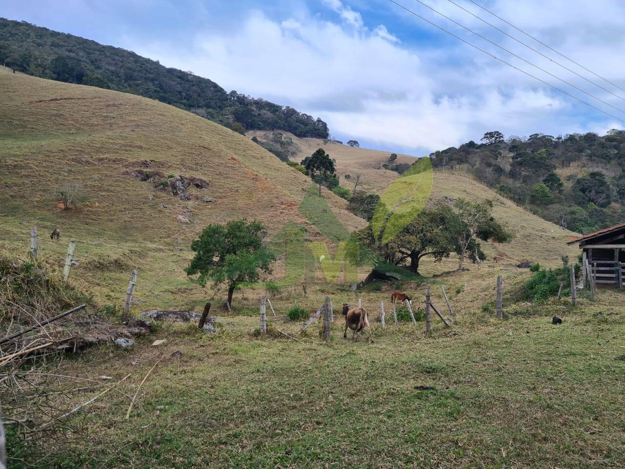 Sítio, 2 quartos, 75 hectares - Foto 1