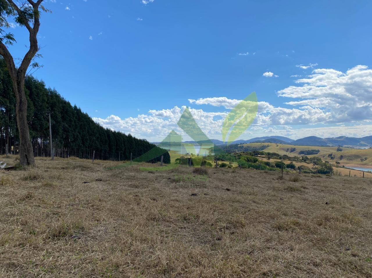 Terreno, 2 hectares - Foto 3