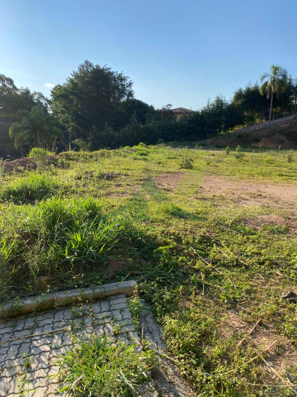 Terreno, 5000 m² - Foto 5
