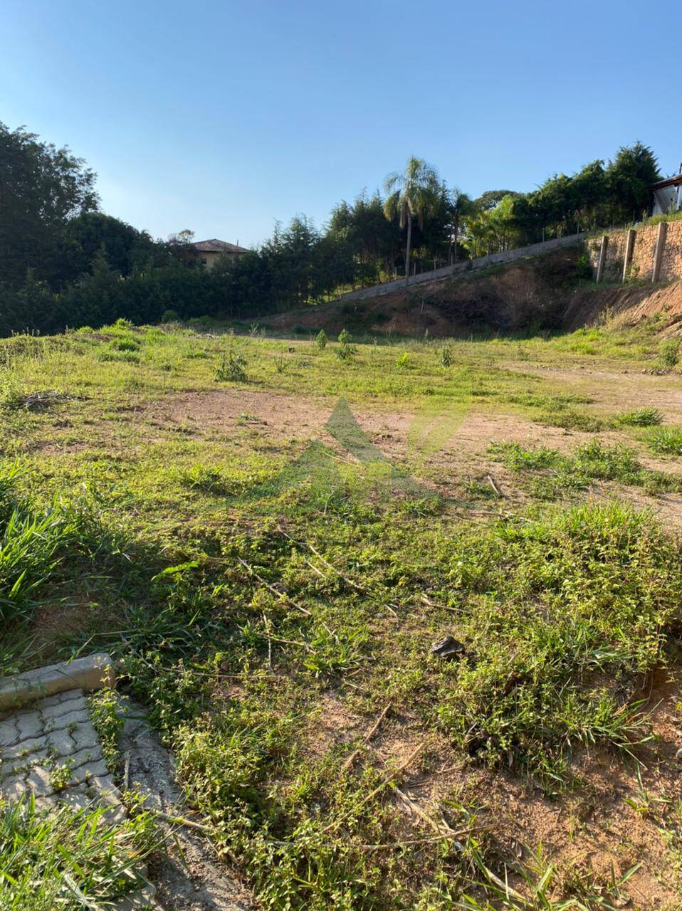 Terreno, 5000 m² - Foto 4