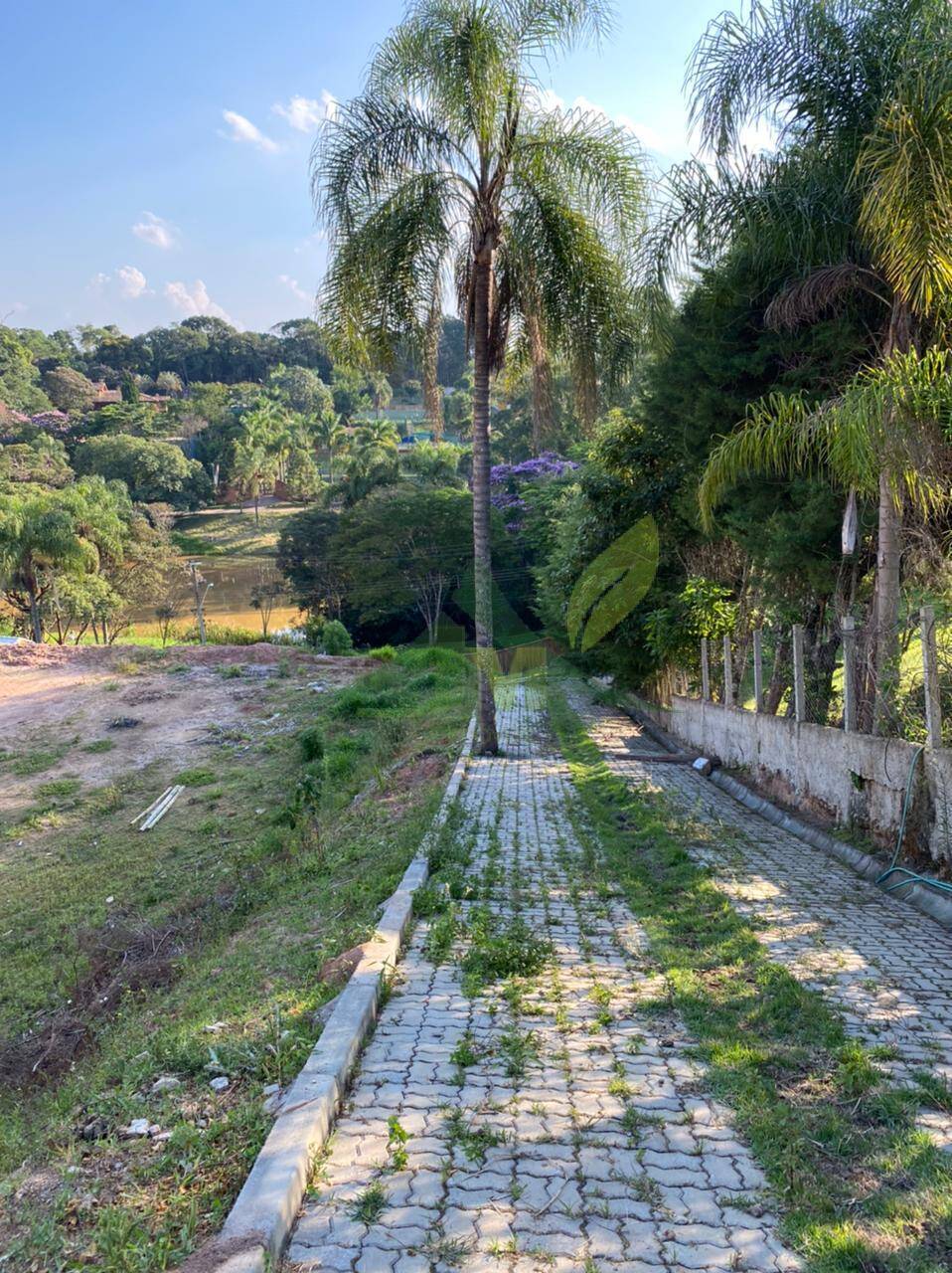 Terreno, 5000 m² - Foto 3