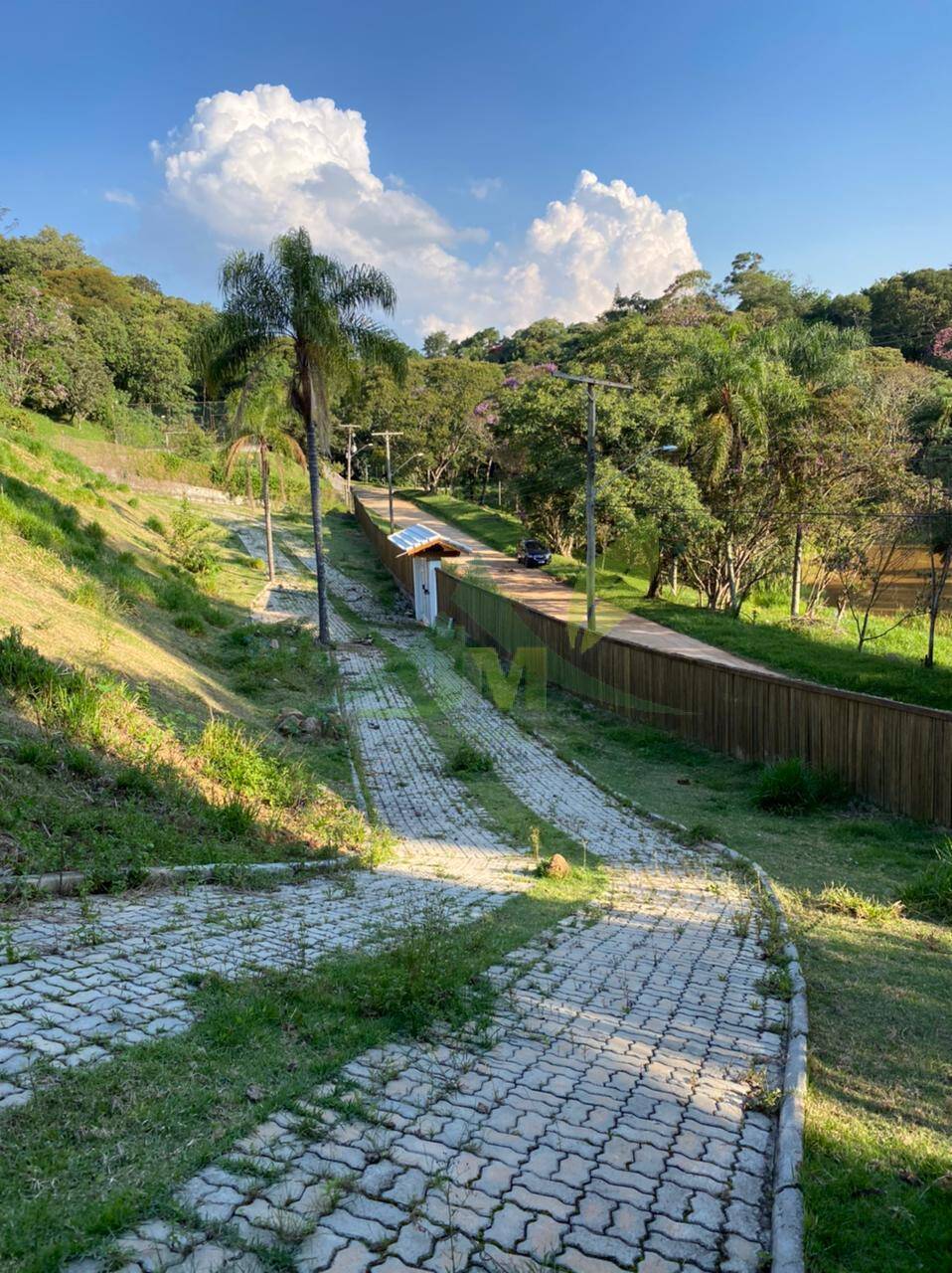 Terreno, 5000 m² - Foto 6