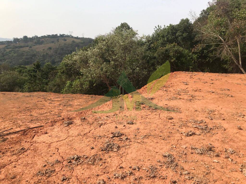Terreno, 8000 m² - Foto 4