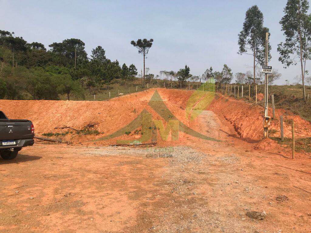 Terreno, 8000 m² - Foto 8