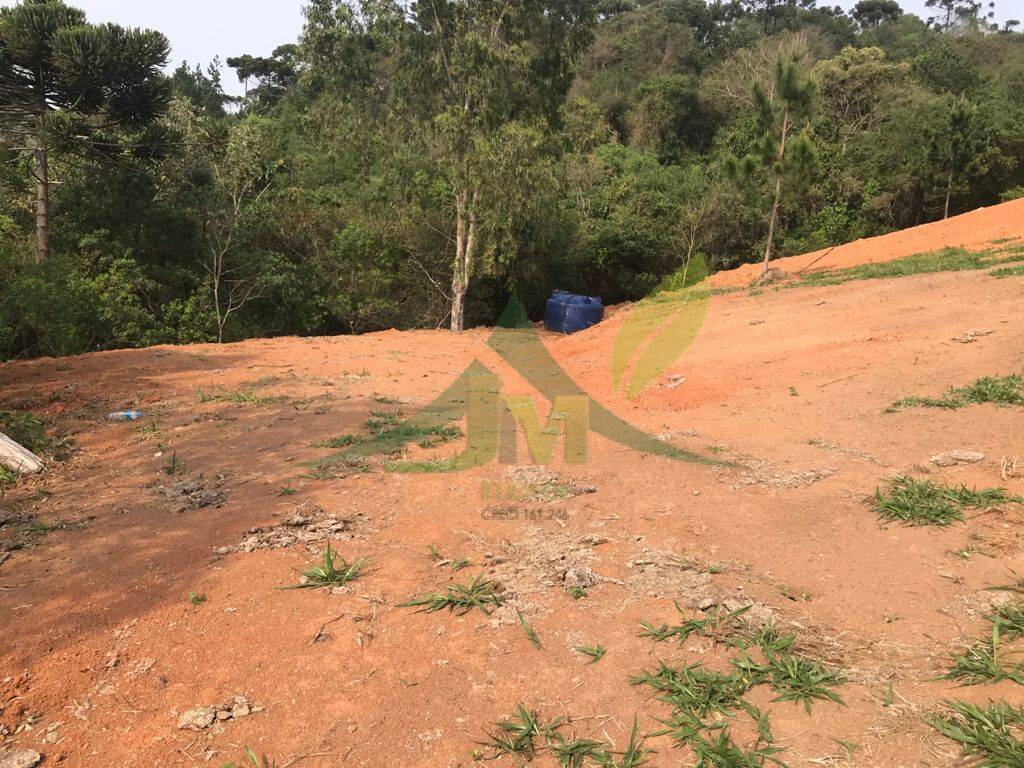 Terreno, 8000 m² - Foto 10
