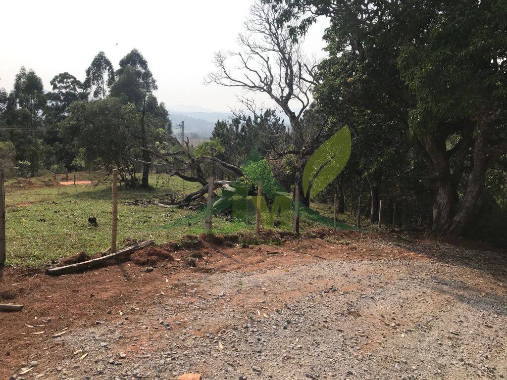 Terreno, 8000 m² - Foto 2