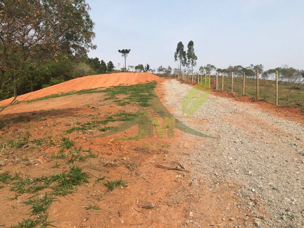 Terreno, 8000 m² - Foto 11