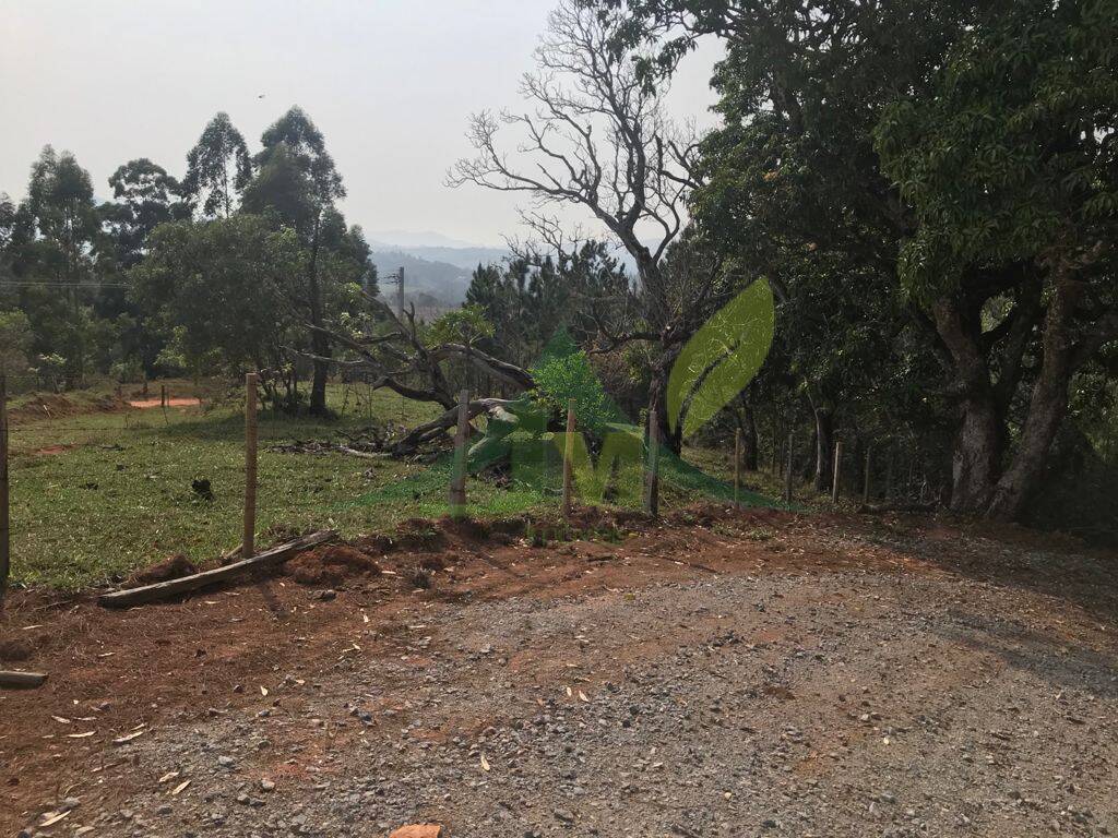 Terreno, 8000 m² - Foto 12
