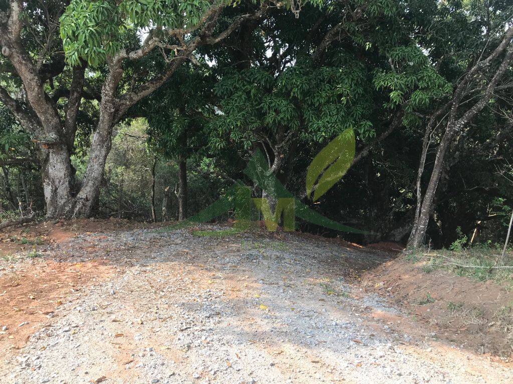 Terreno, 8000 m² - Foto 13