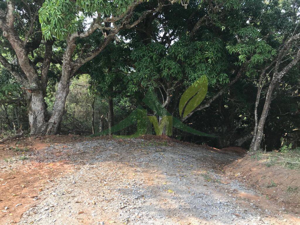 Terreno, 8000 m² - Foto 14
