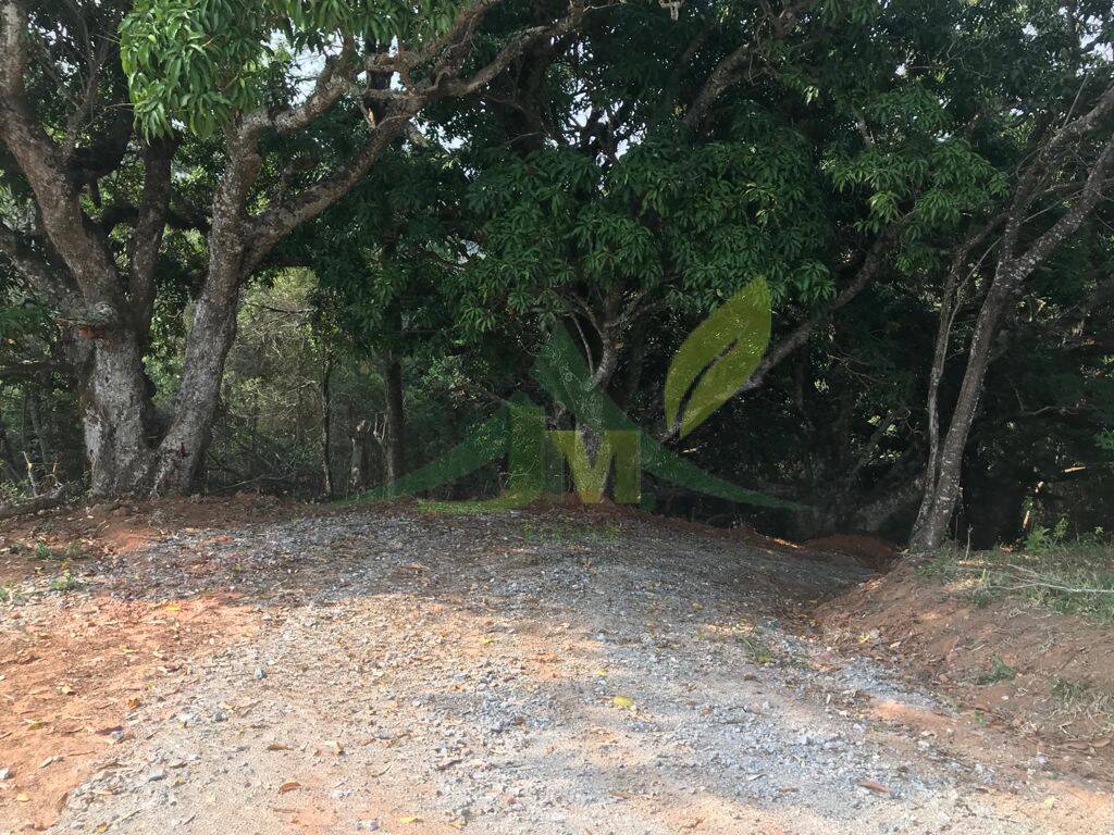 Terreno, 8000 m² - Foto 15