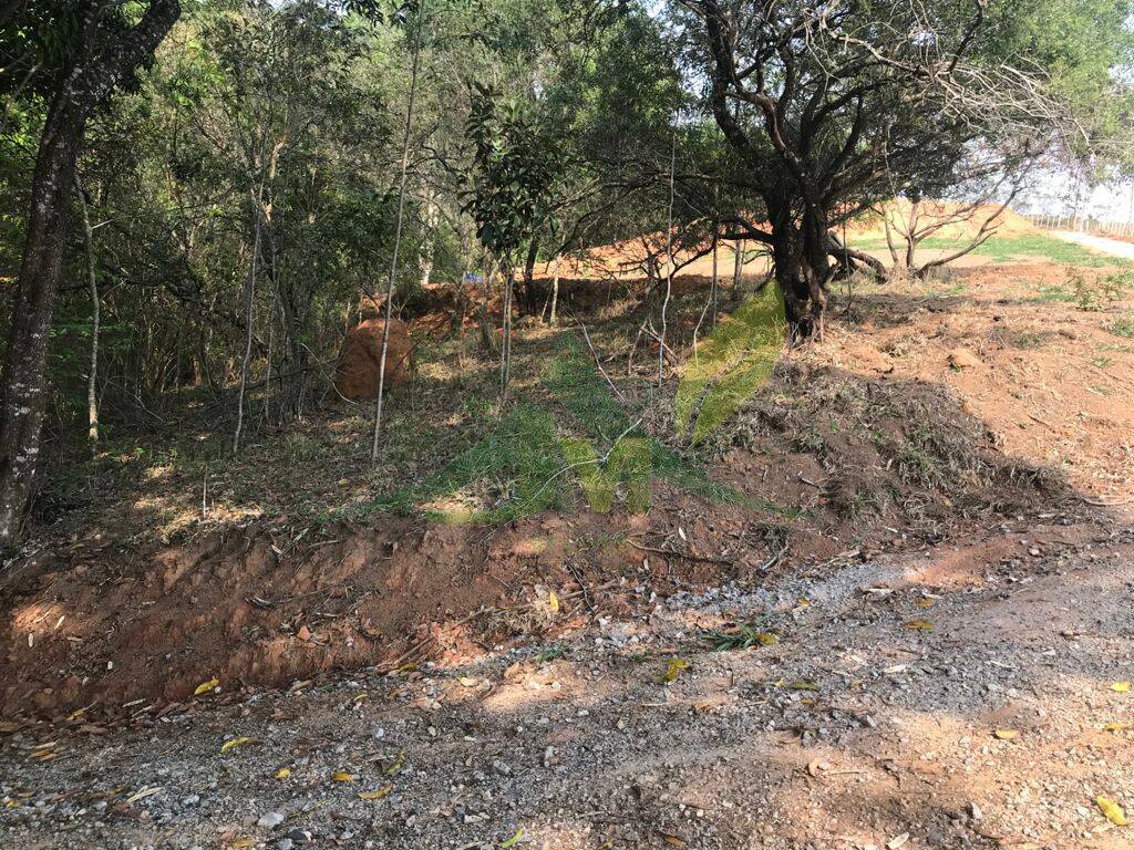 Terreno, 8000 m² - Foto 17