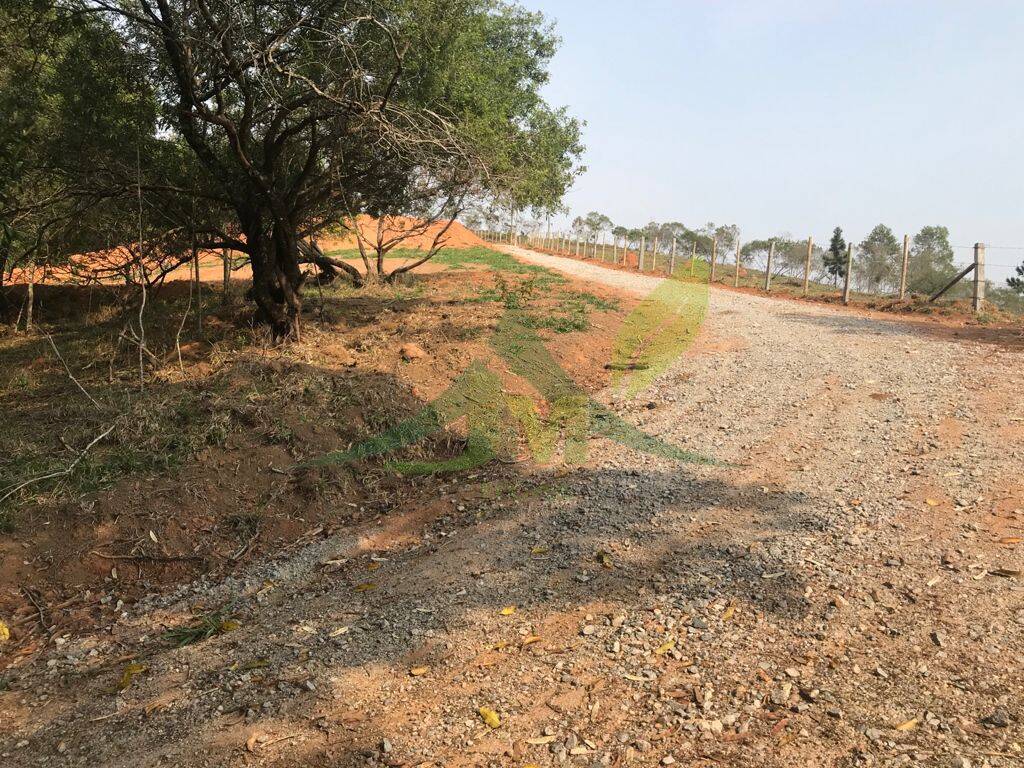 Terreno, 8000 m² - Foto 18