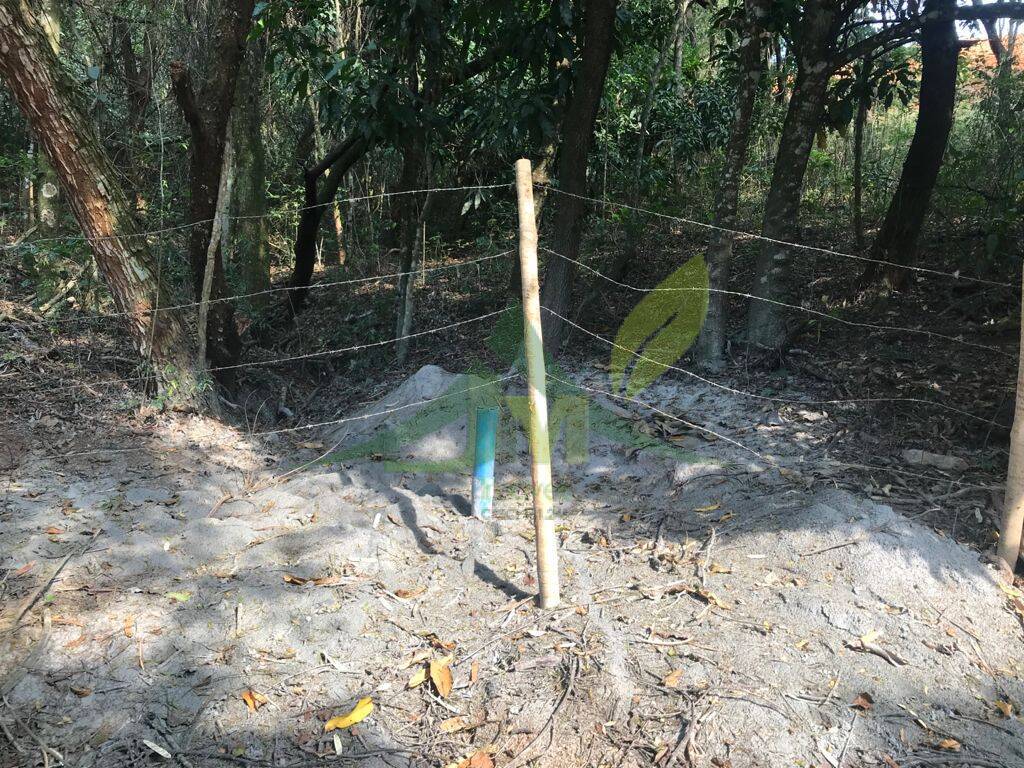 Terreno, 8000 m² - Foto 20