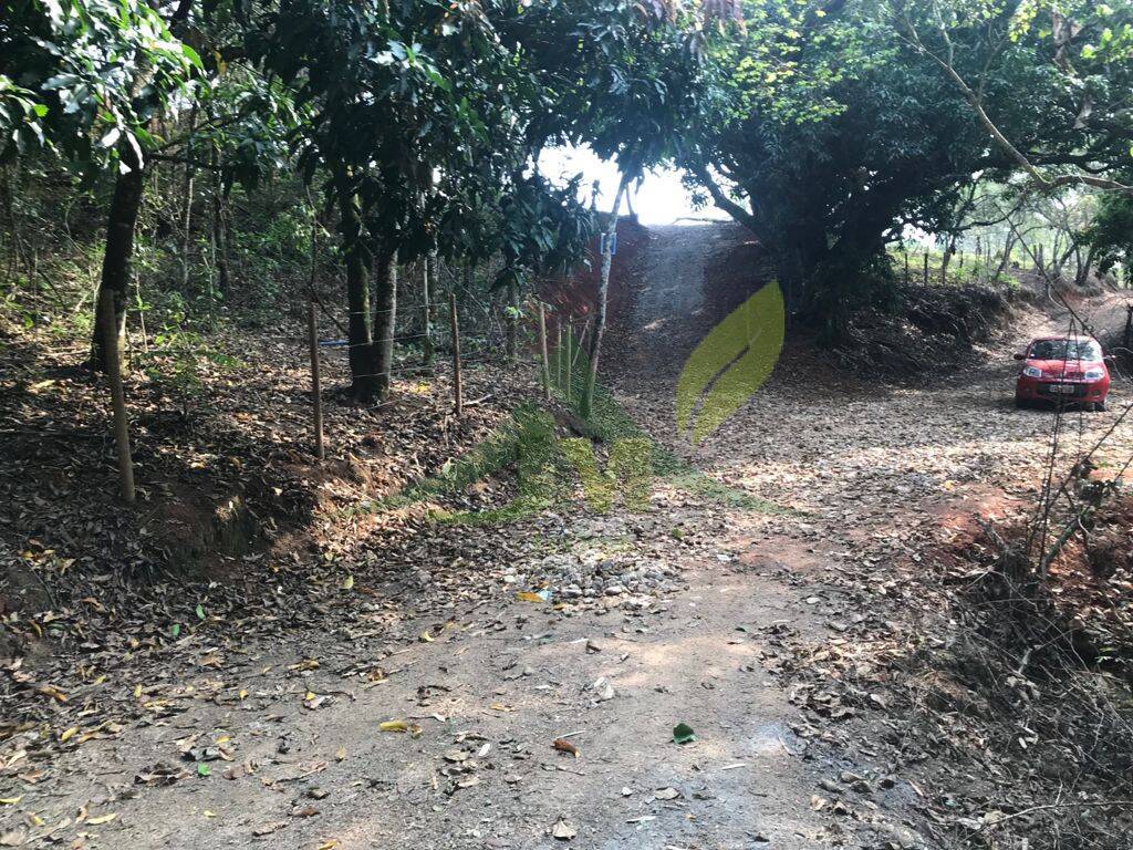 Terreno, 8000 m² - Foto 21