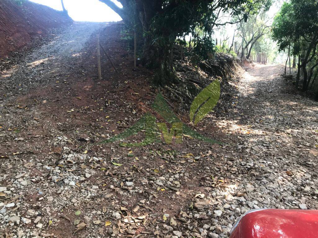 Terreno, 8000 m² - Foto 22
