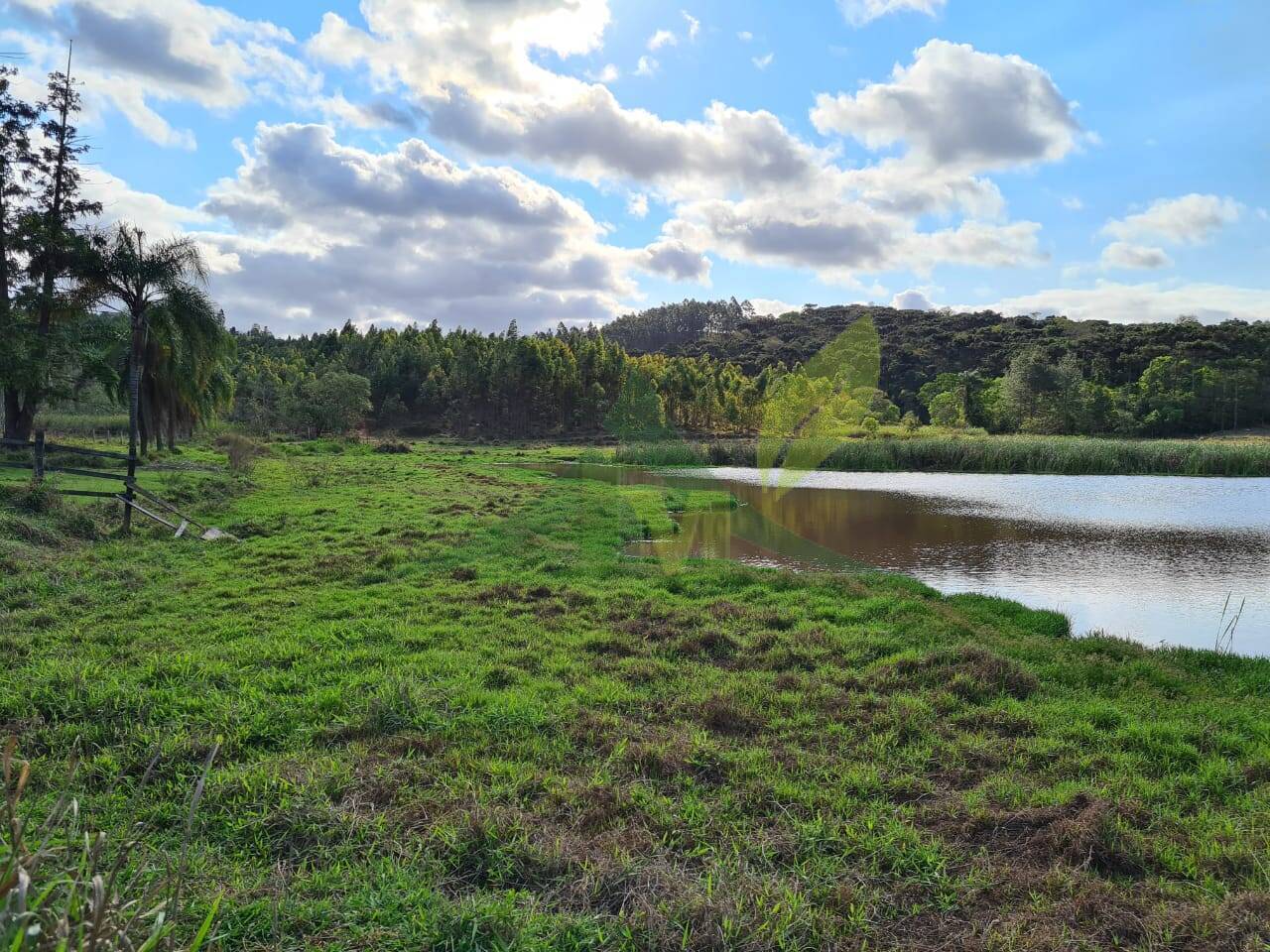 Sítio, 2 quartos, 36 hectares - Foto 3