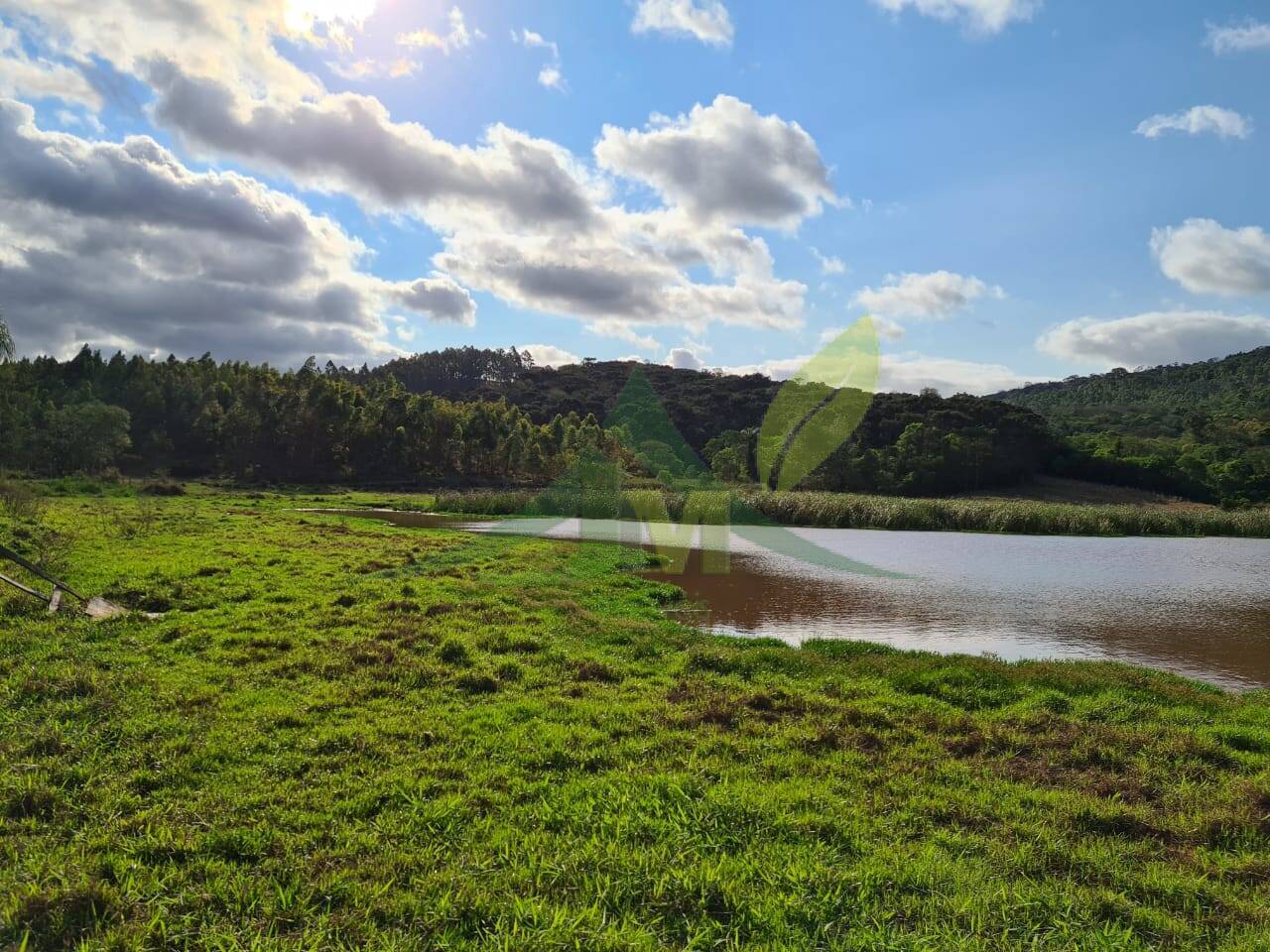Sítio, 2 quartos, 36 hectares - Foto 6