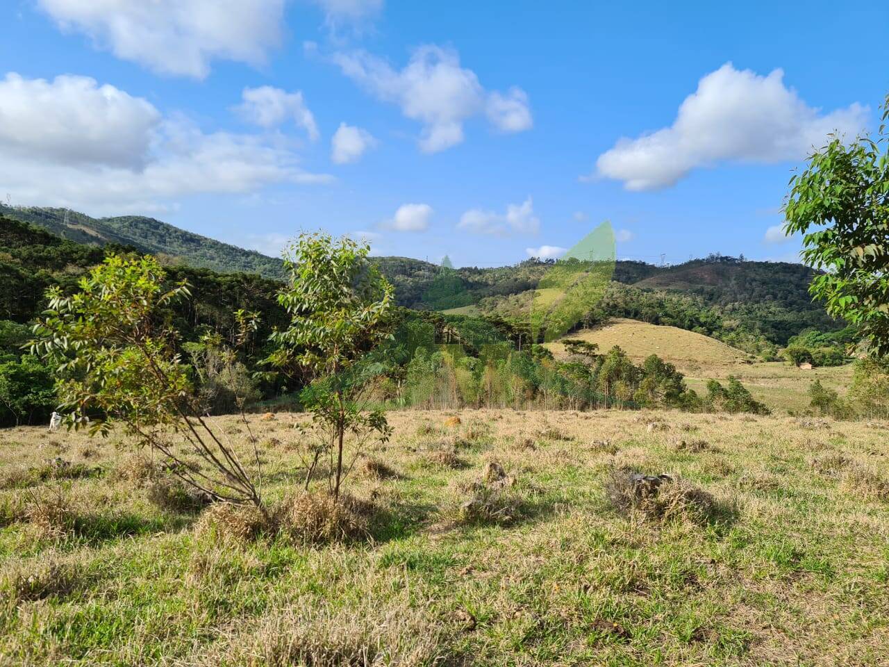Sítio, 2 quartos, 36 hectares - Foto 11