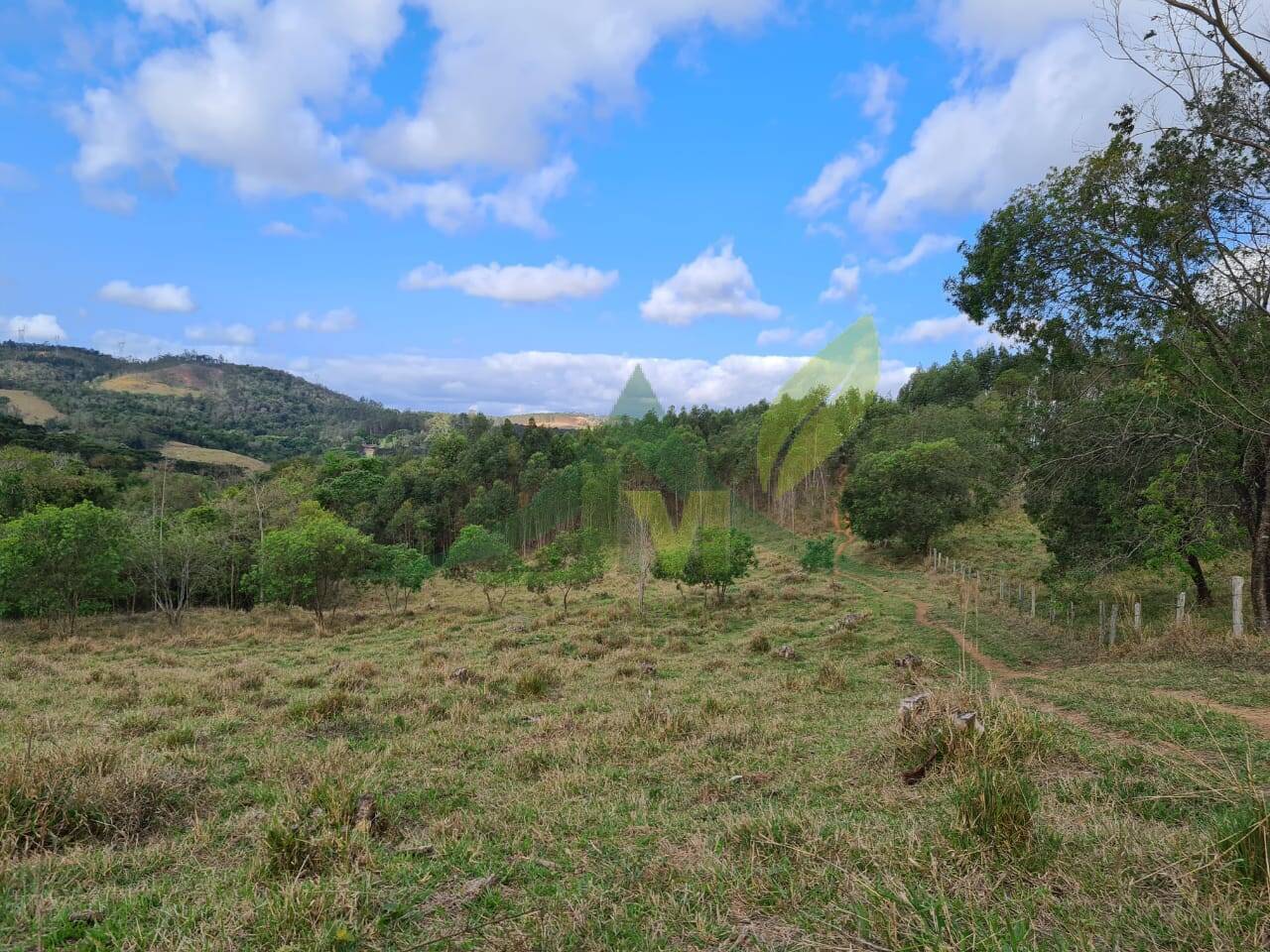 Sítio, 2 quartos, 36 hectares - Foto 14