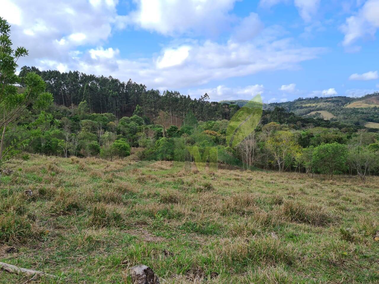 Sítio, 2 quartos, 36 hectares - Foto 15