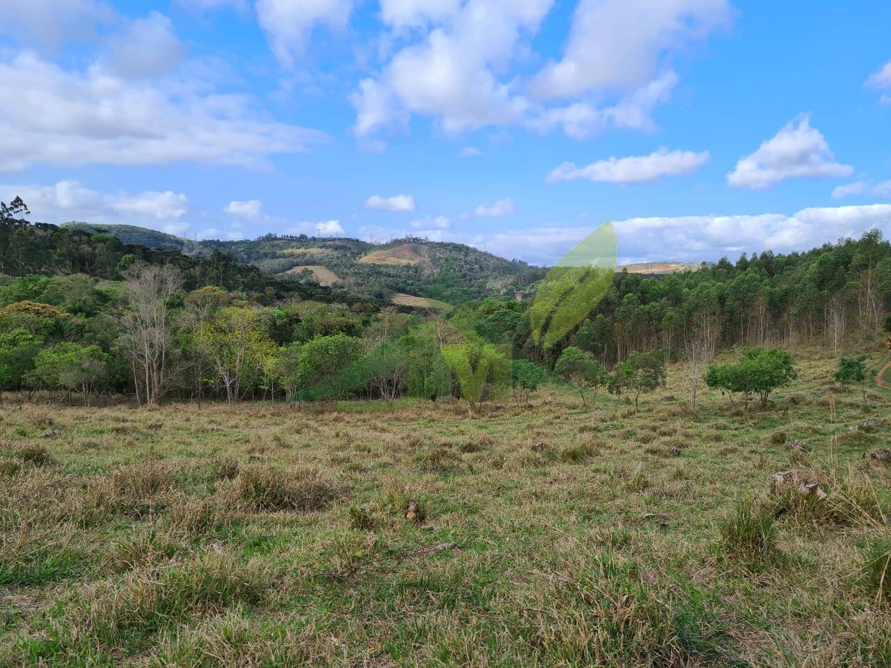 Sítio, 2 quartos, 36 hectares - Foto 19