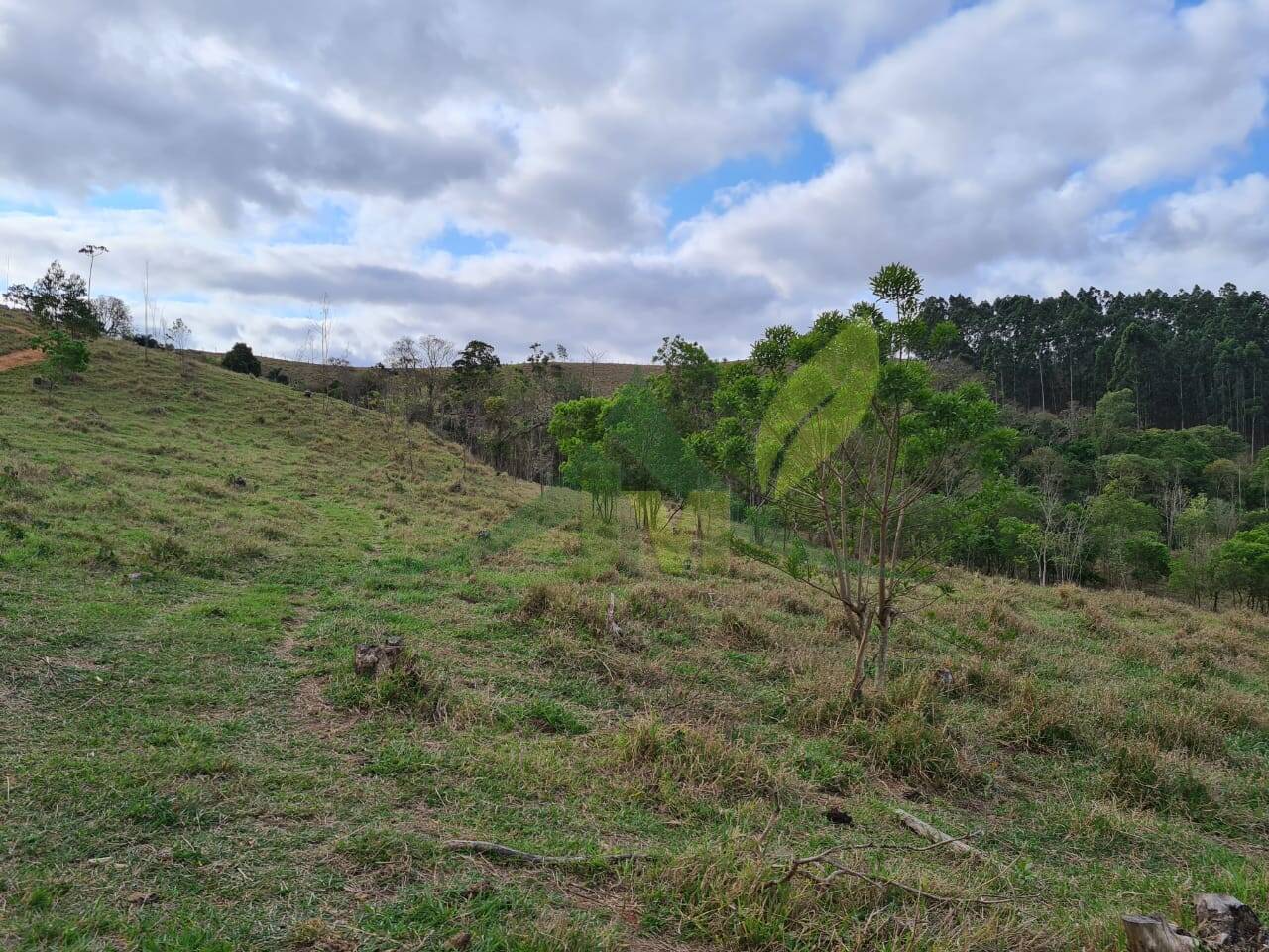 Sítio, 2 quartos, 36 hectares - Foto 17