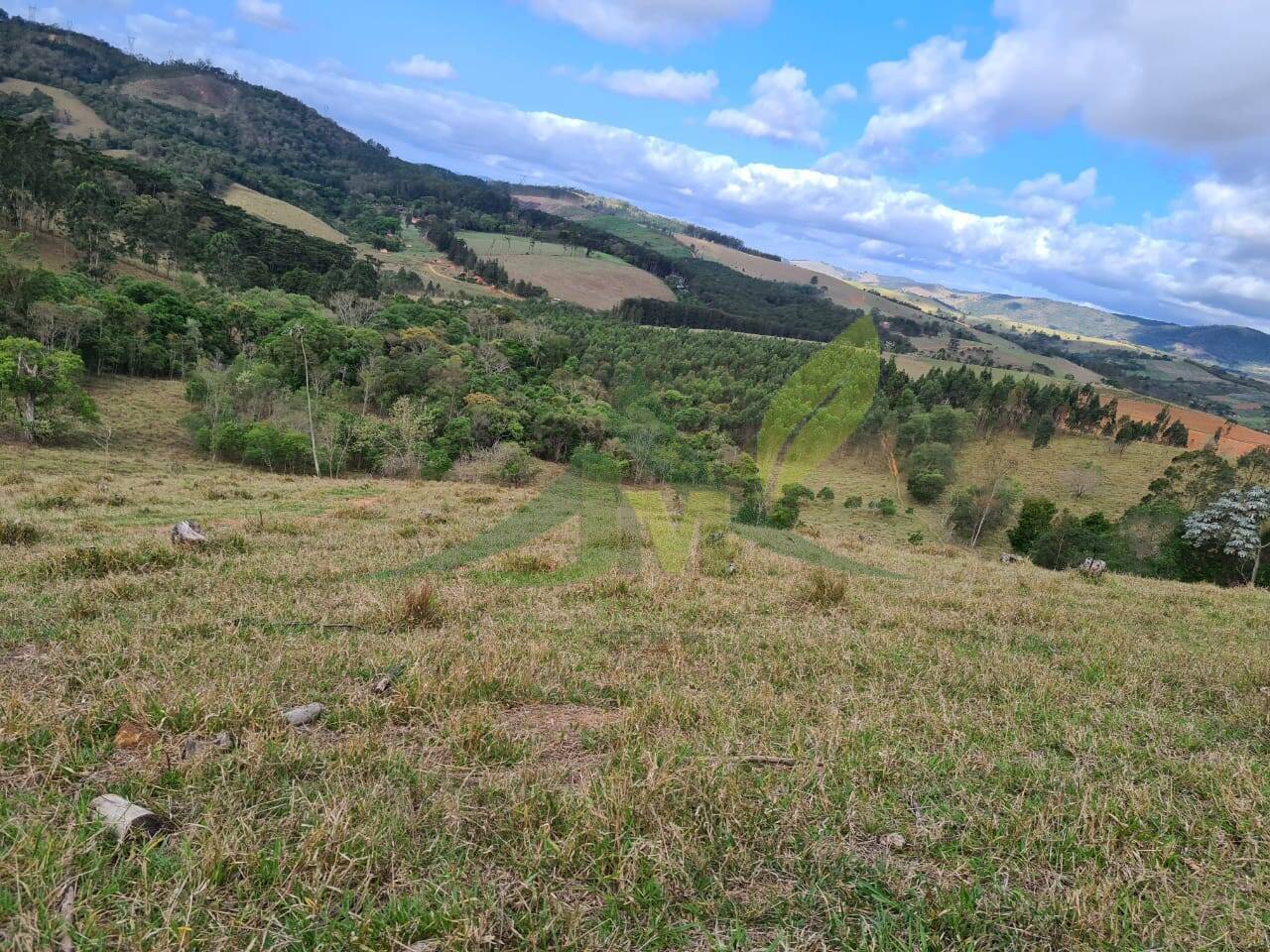 Sítio, 2 quartos, 36 hectares - Foto 18