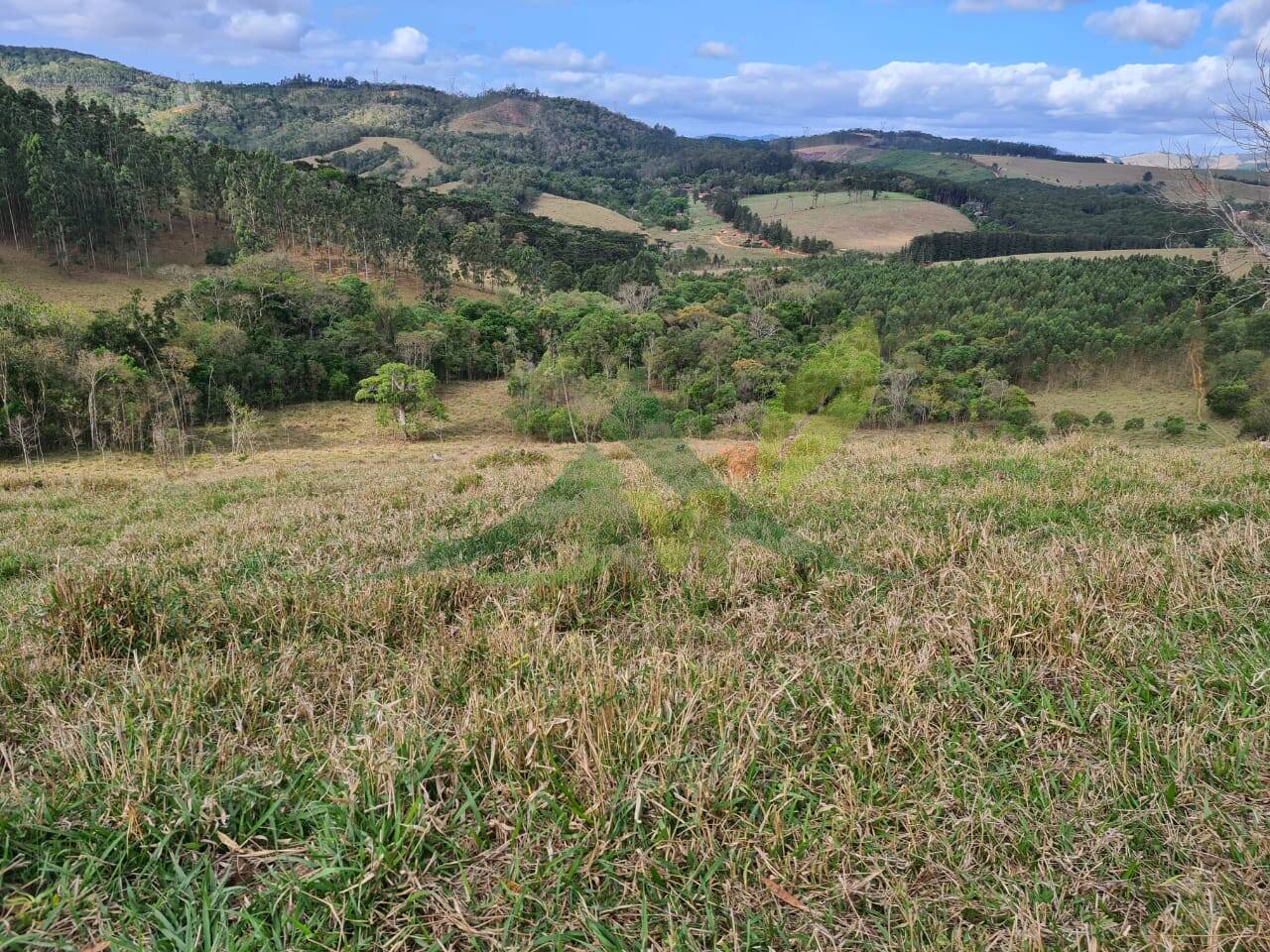 Sítio, 2 quartos, 36 hectares - Foto 20