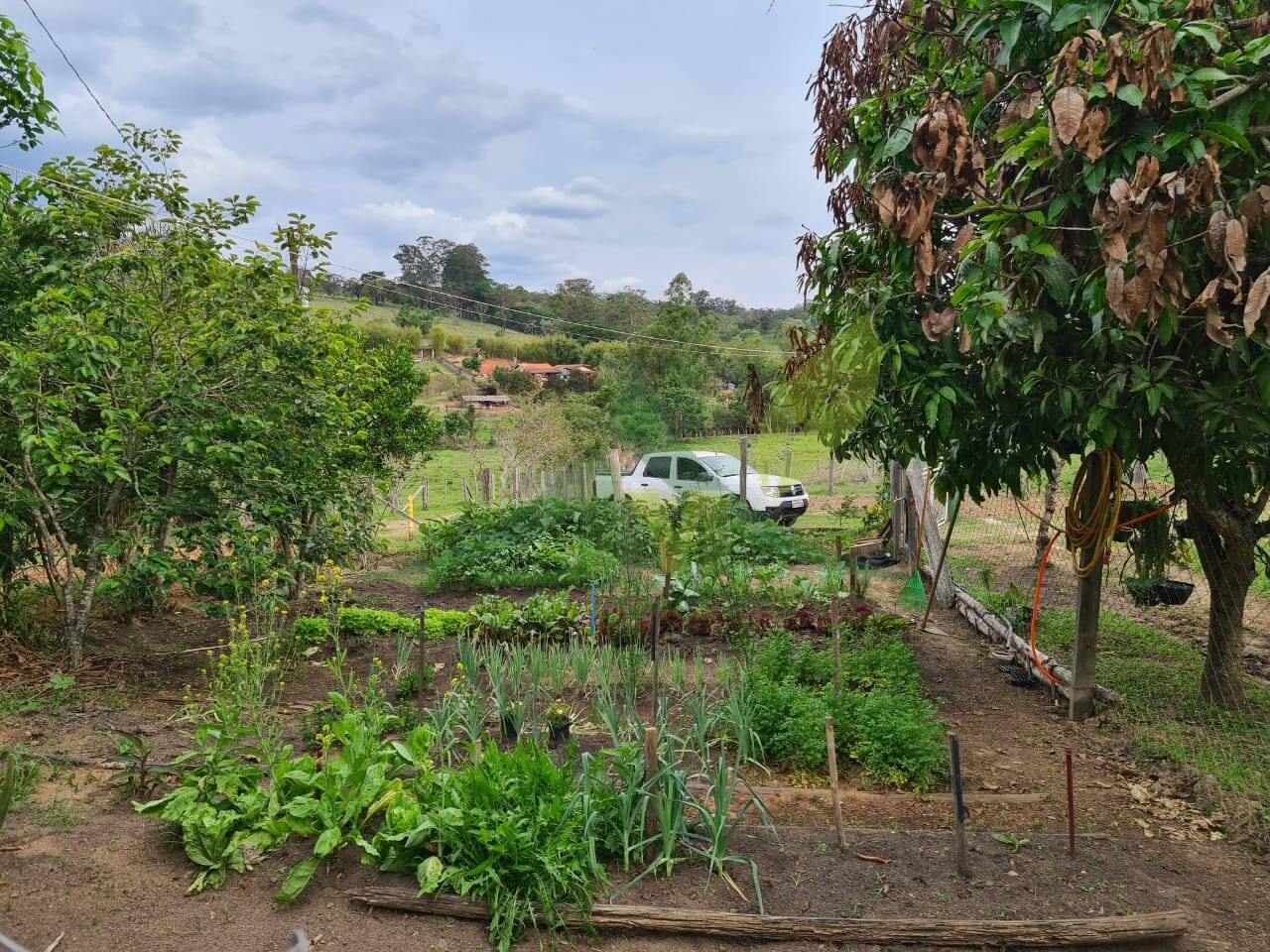 Sítio, 4 quartos, 3 hectares - Foto 7