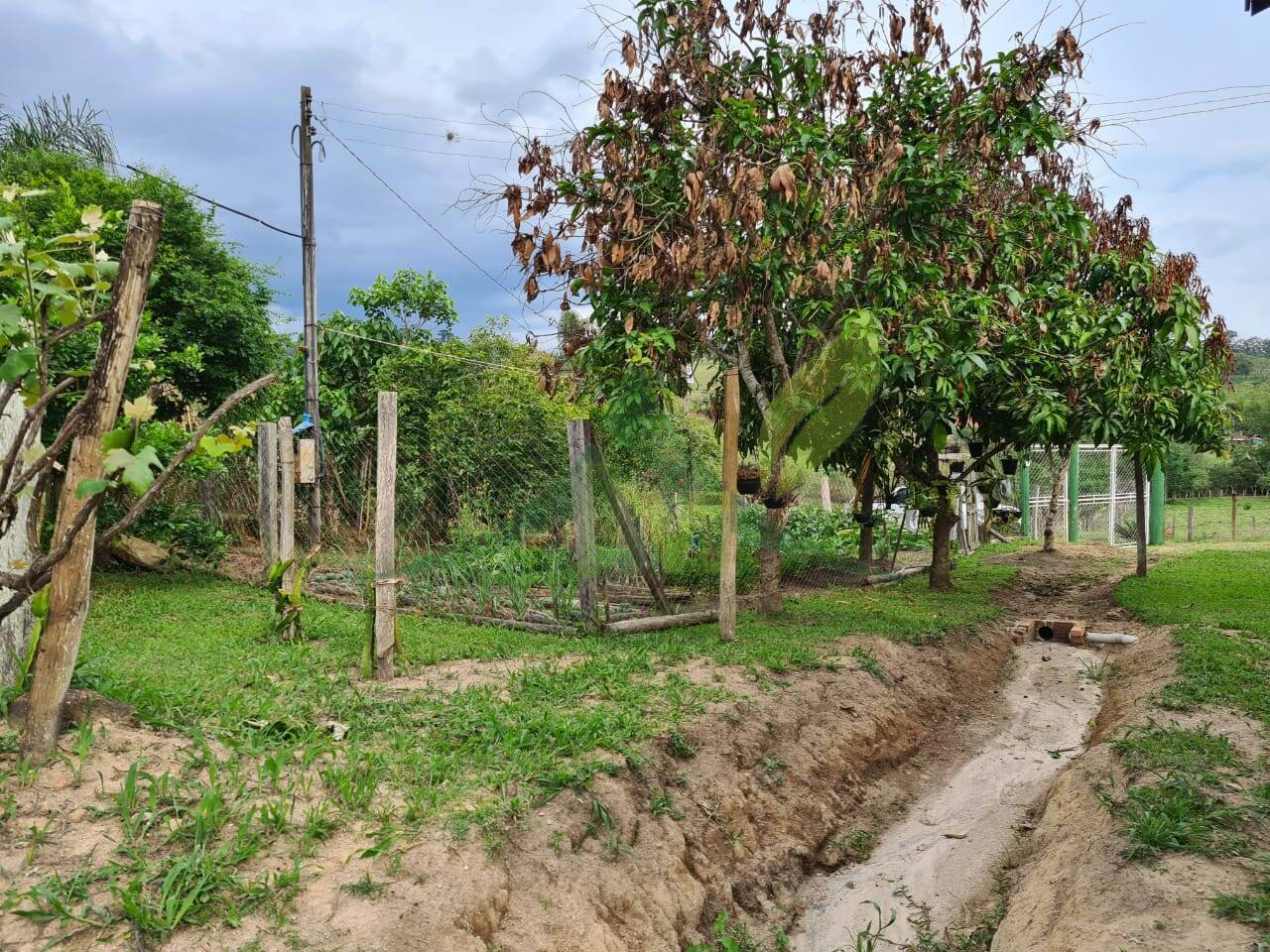 Sítio, 4 quartos, 3 hectares - Foto 8