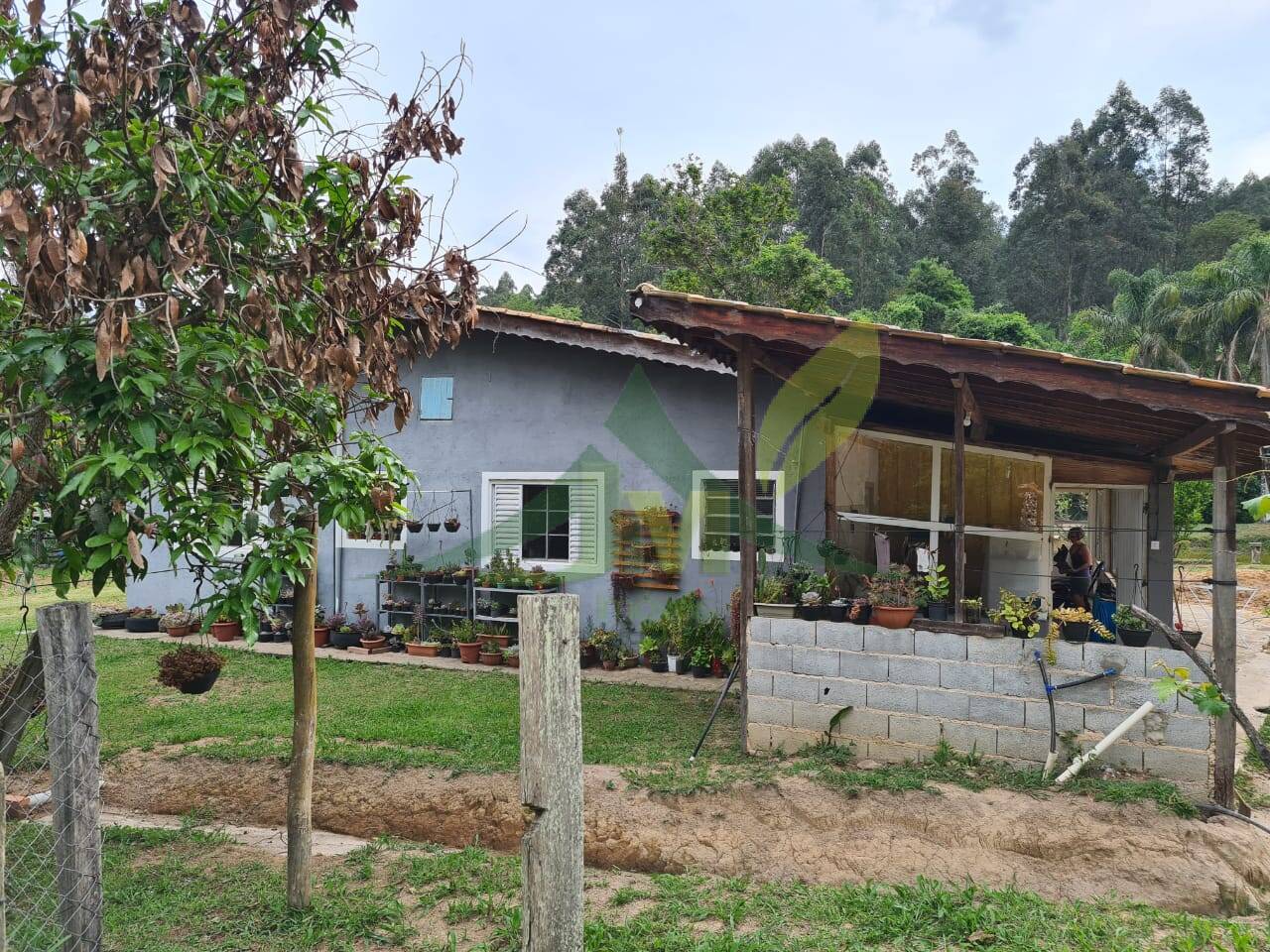 Sítio, 4 quartos, 3 hectares - Foto 10