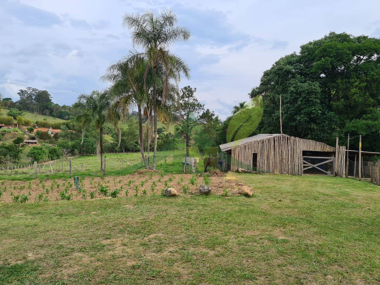 Sítio, 4 quartos, 3 hectares - Foto 17