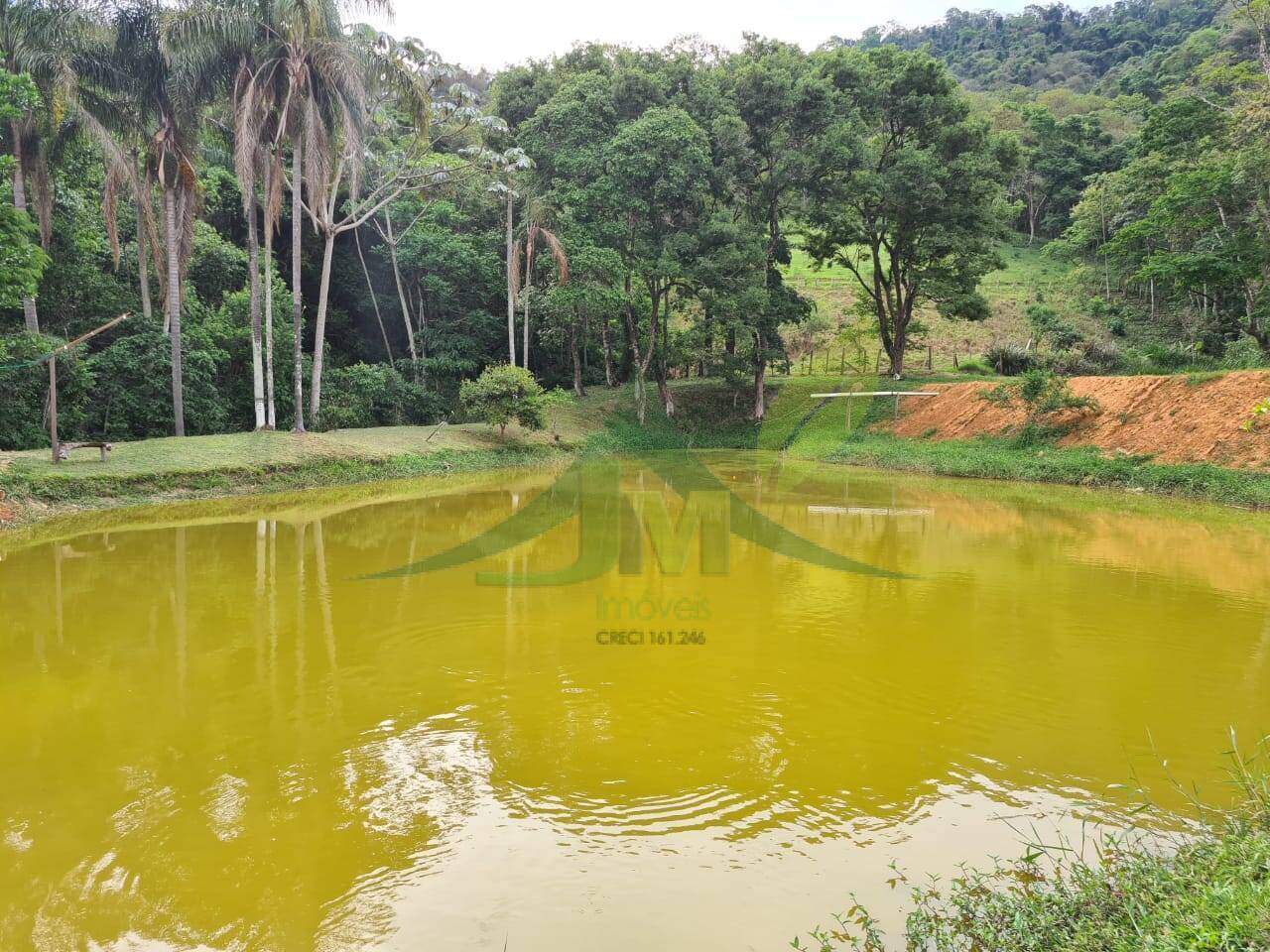Sítio, 4 quartos, 3 hectares - Foto 18